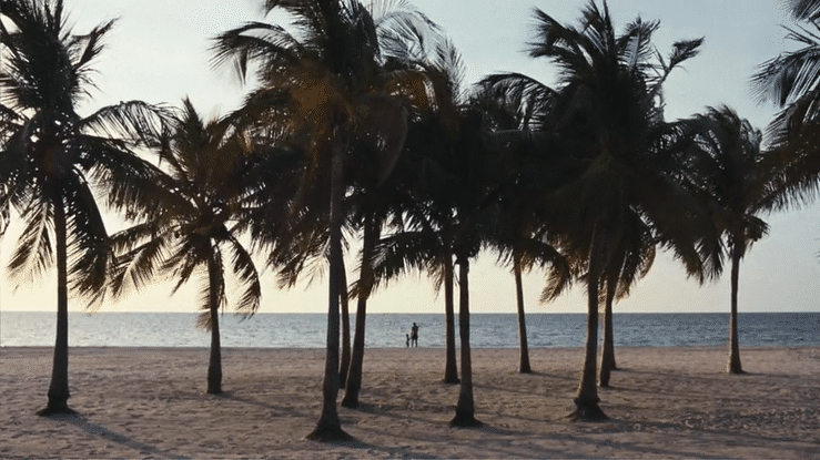 Lincoln & Serena Williams - %22Letting Go%22-high.gif