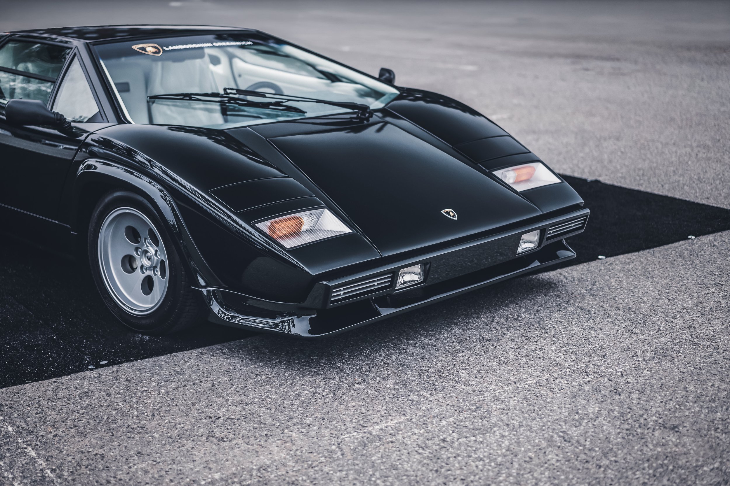 51628796135_2b963db10e_6k copy.jpg