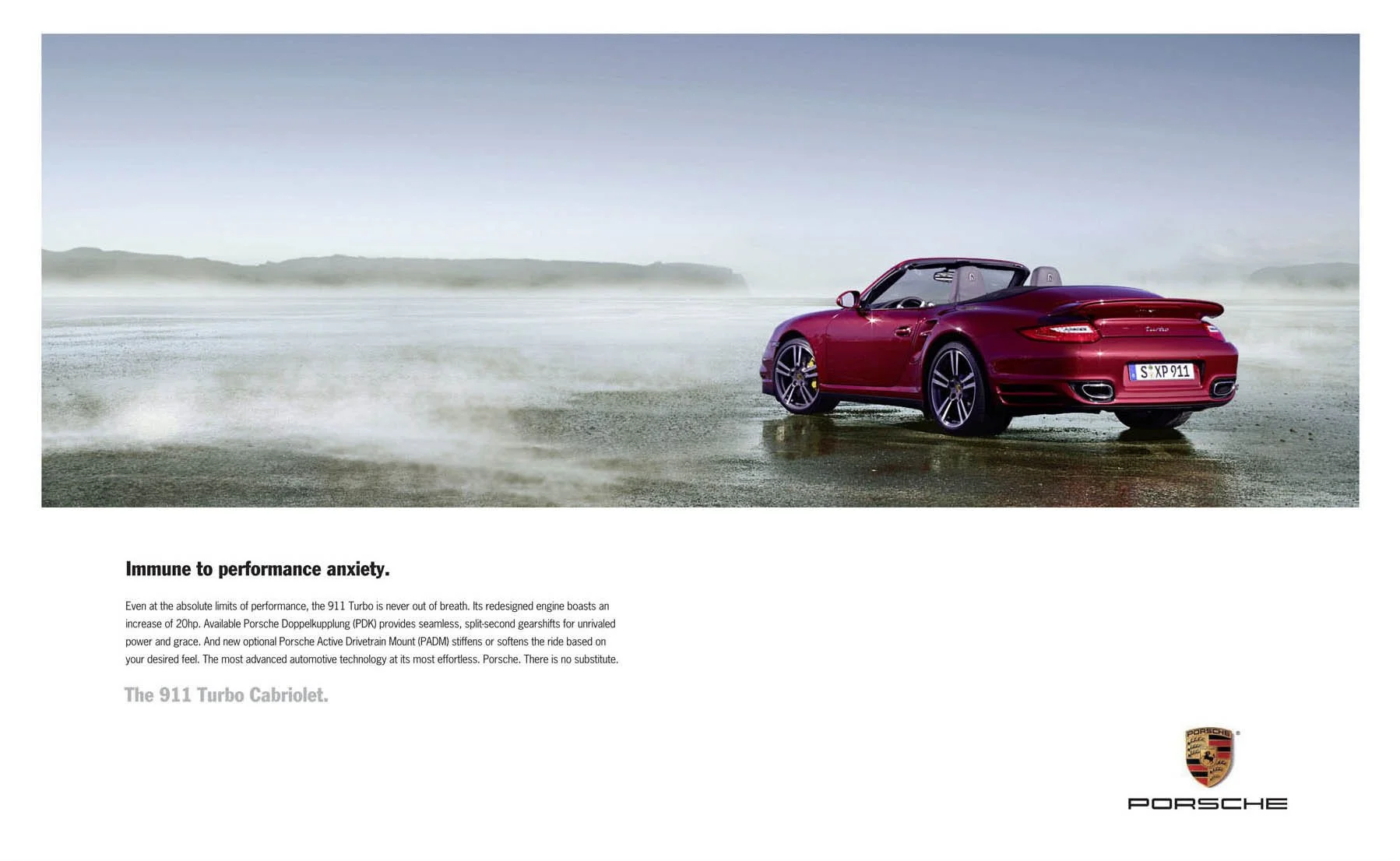 turbo immune_o copy.jpg