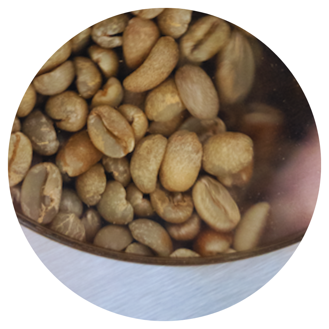Close-up of green coffee beans in a metallic container.