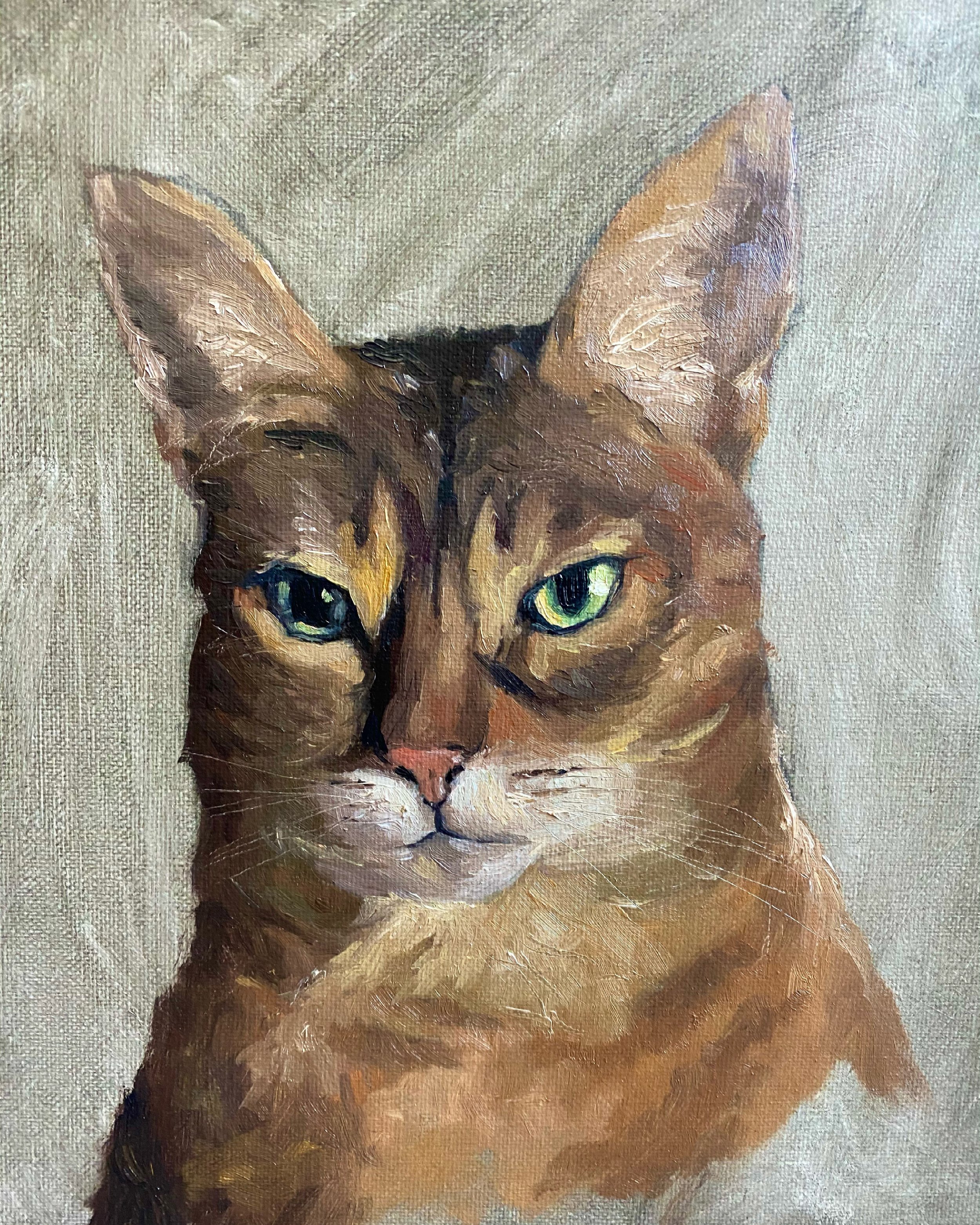 Big Ears Cat | Oil | 8x10 | NOT FOR SALE