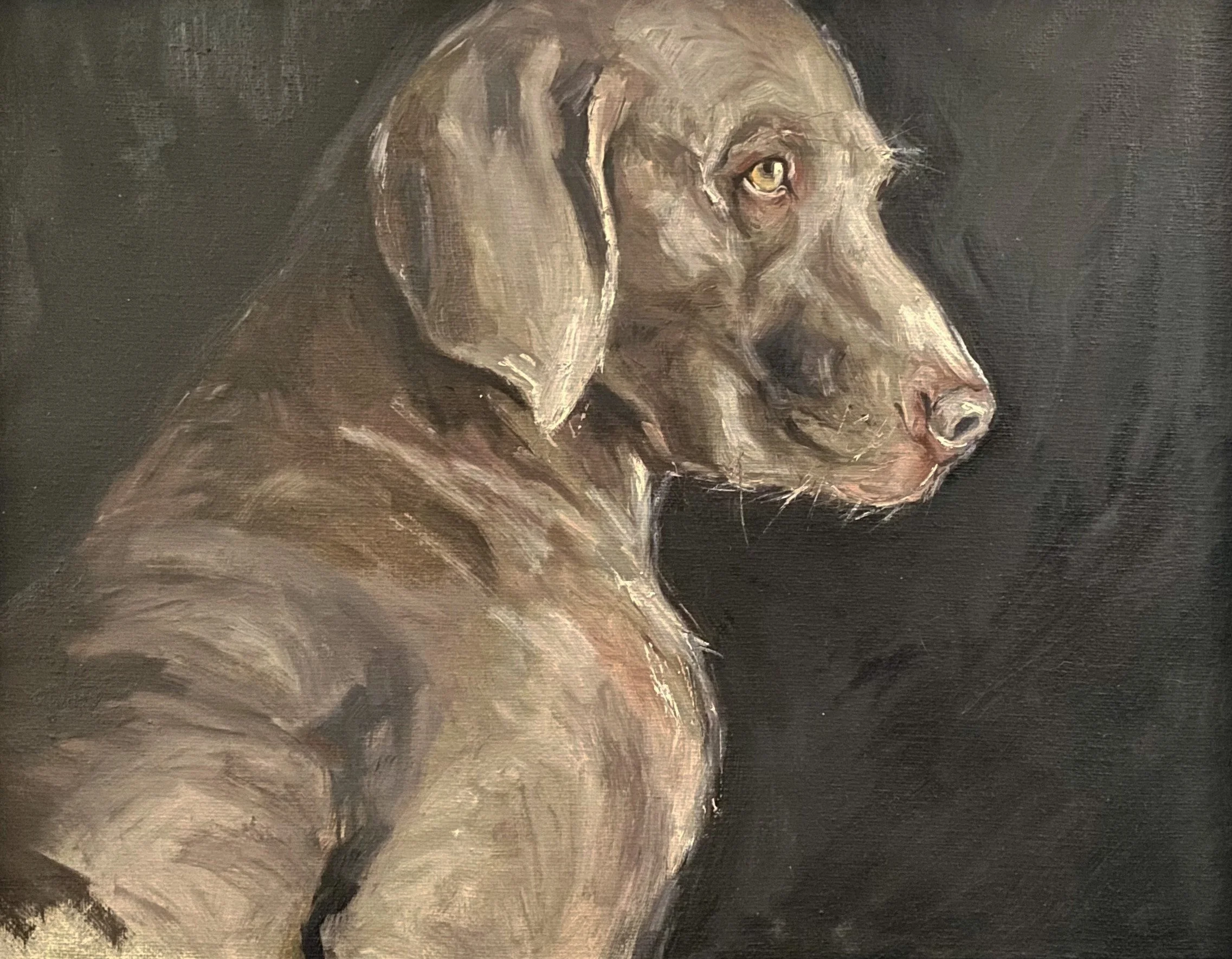 Dog study | Oil | 9x12 | NOT FOR SALE