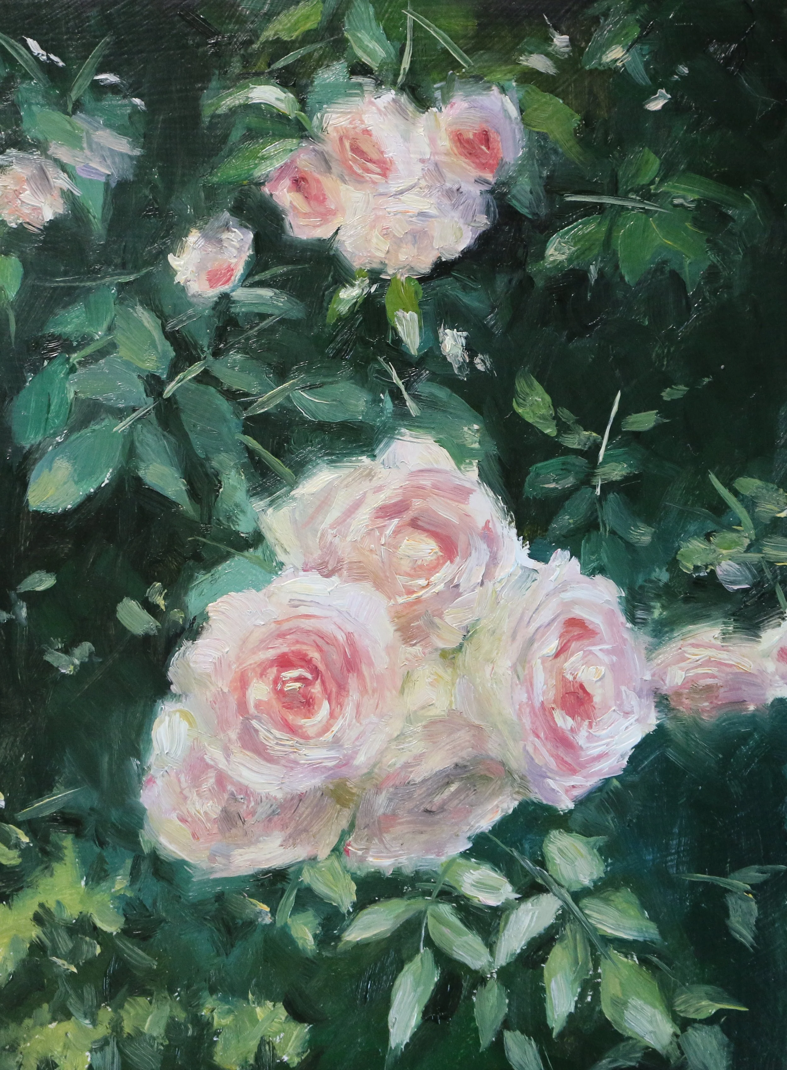 Roses | Oil | 5x7 | AVAILABLE