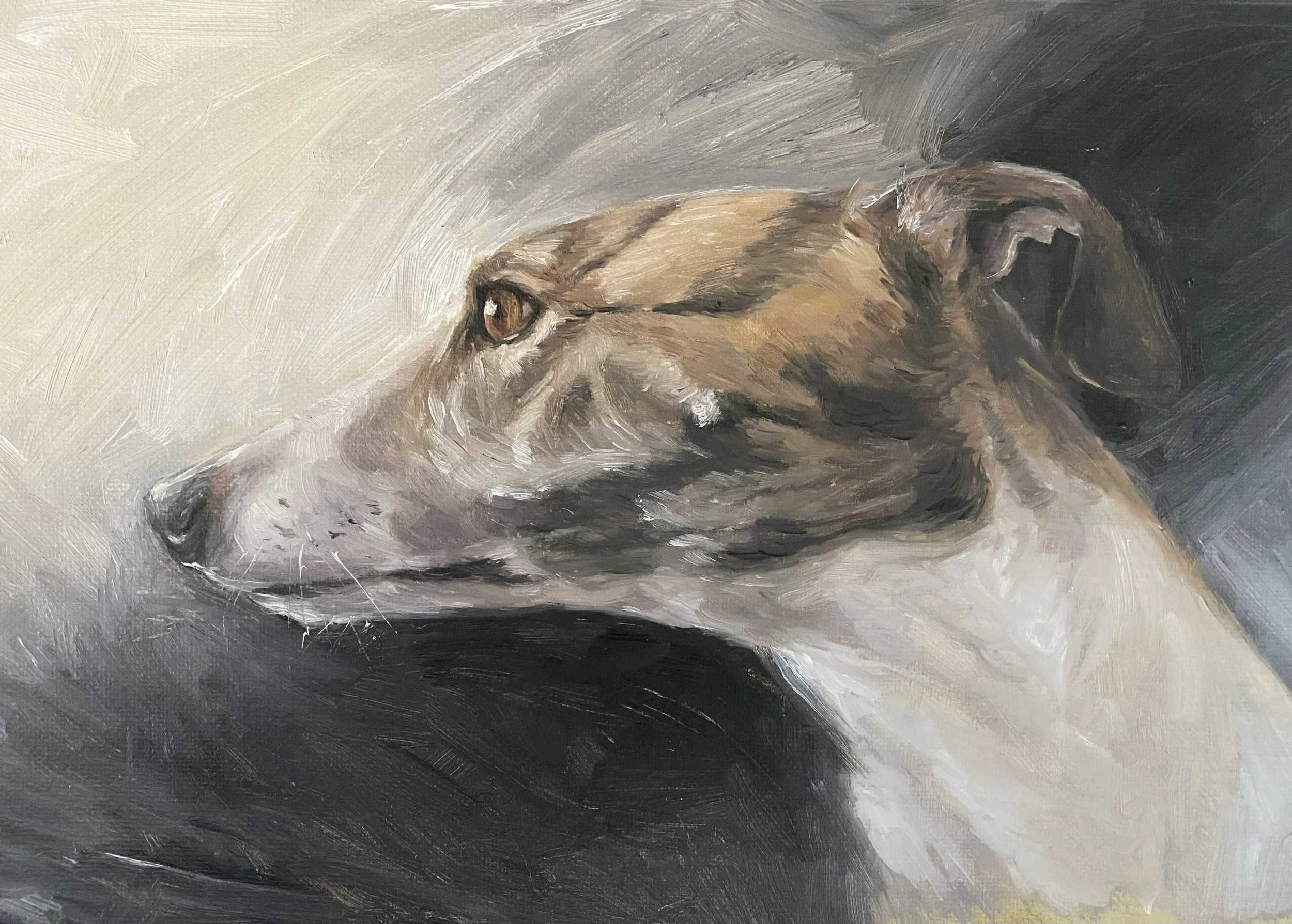 Dog study 3 | Oil | 9x12 | NOT FOR SALE