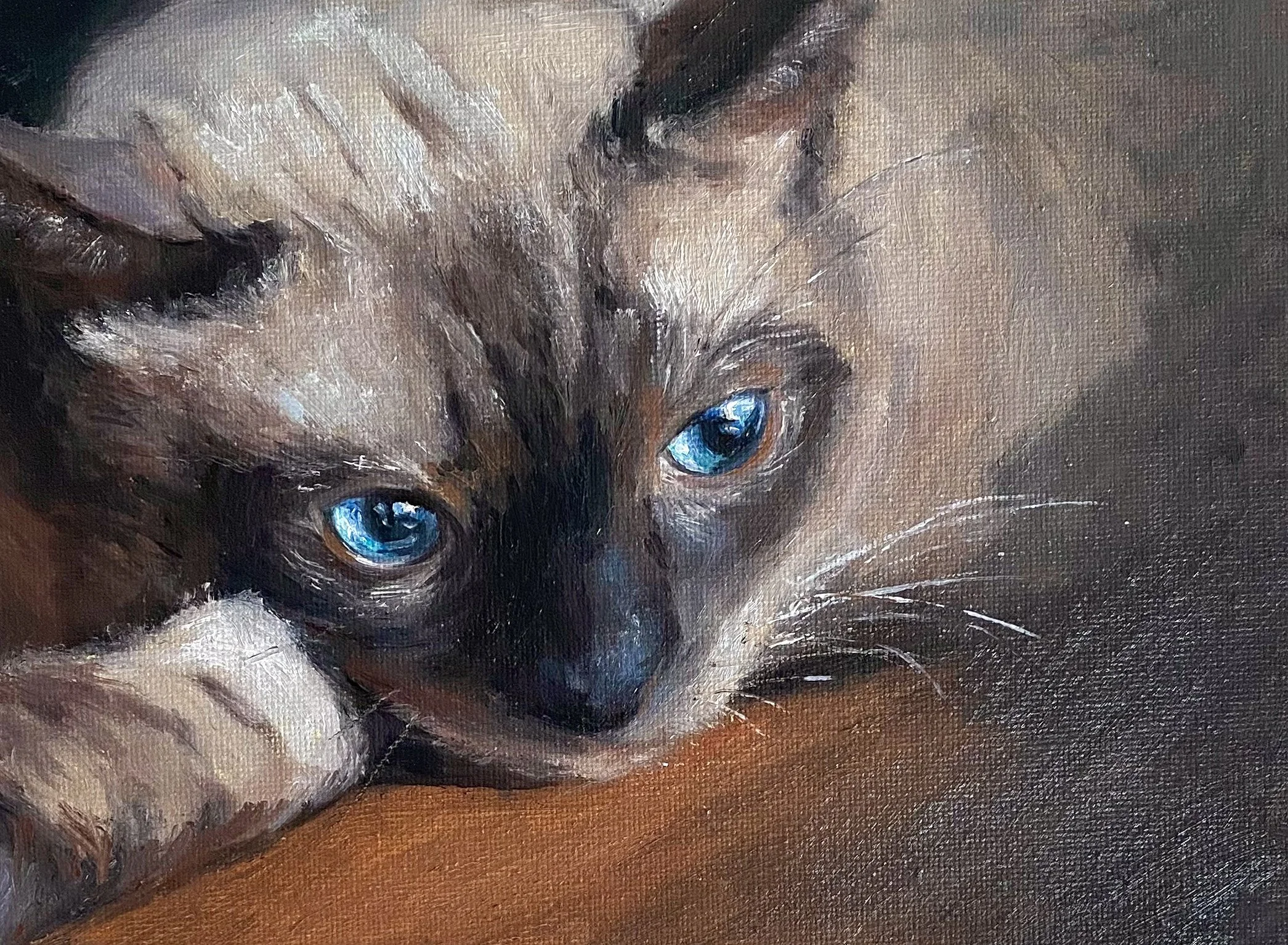 Finn Cat | Oil | 6x8 | SOLD