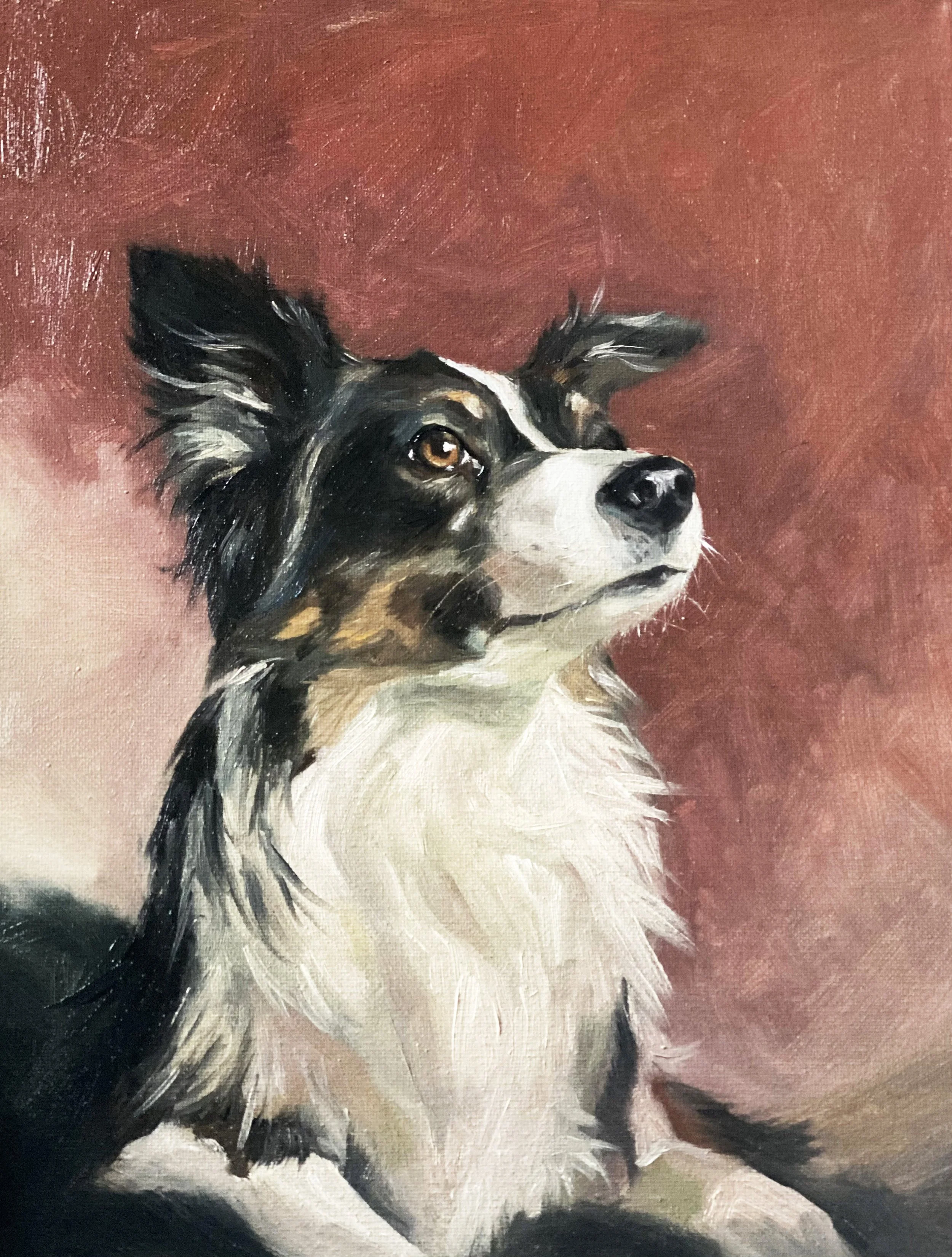 PET PORTRAITS