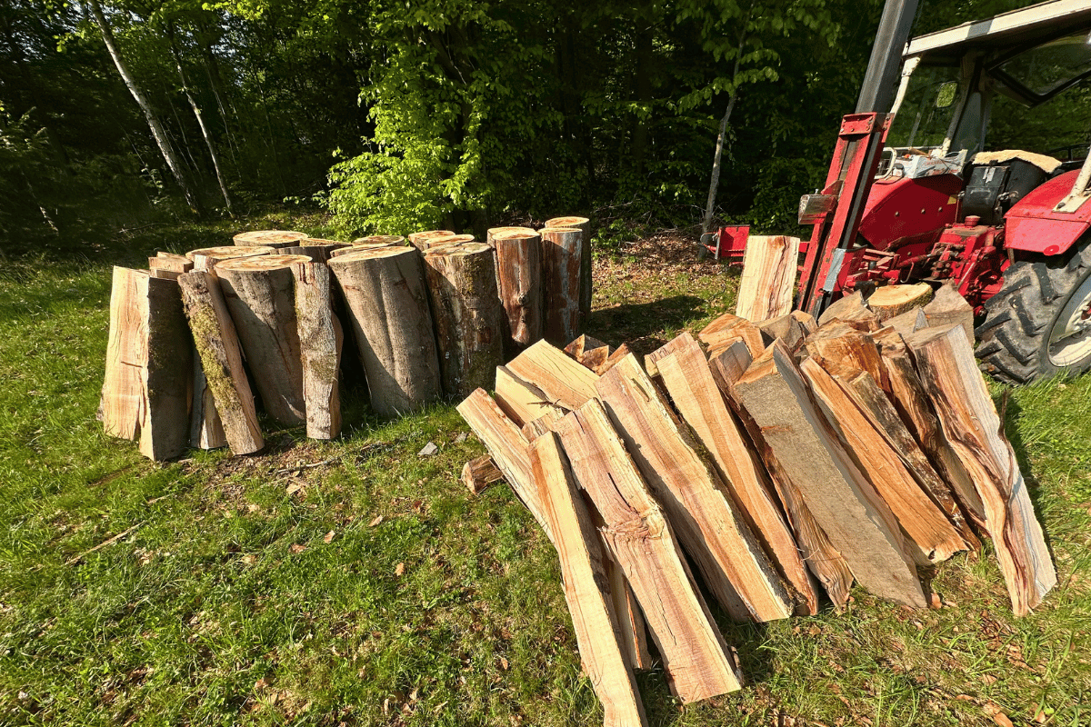 Holzaufarbeitung im eigenen Wald bei Rützenreuth
