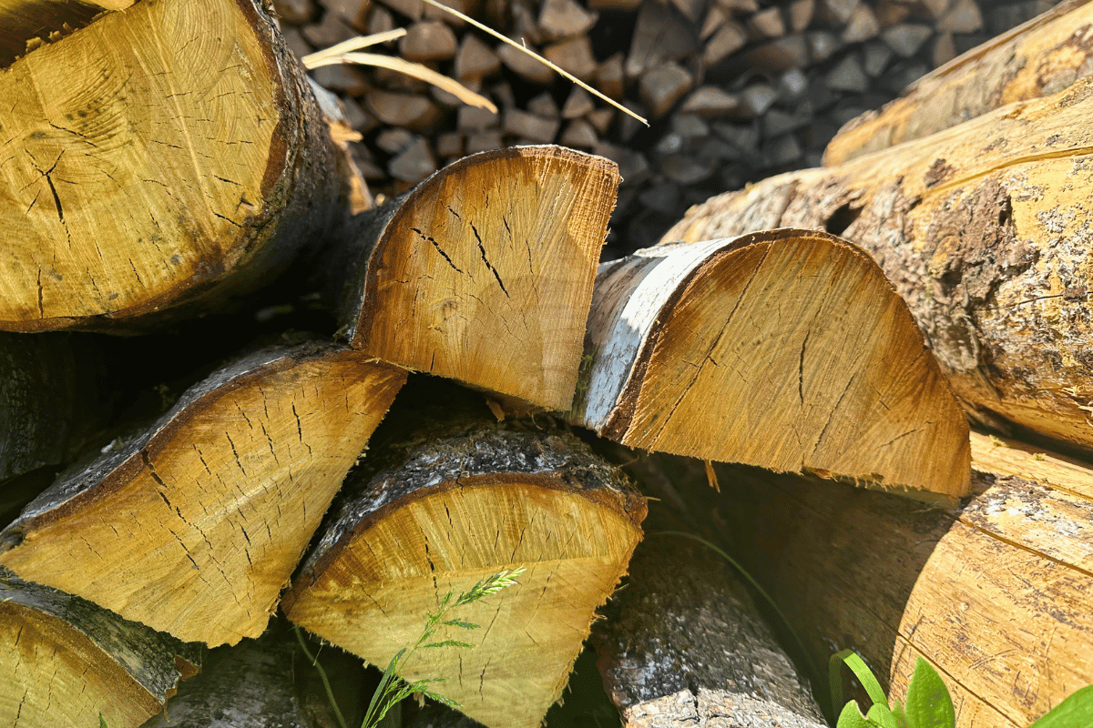 Buchenholz als Brennholz für Kamin und Ofen