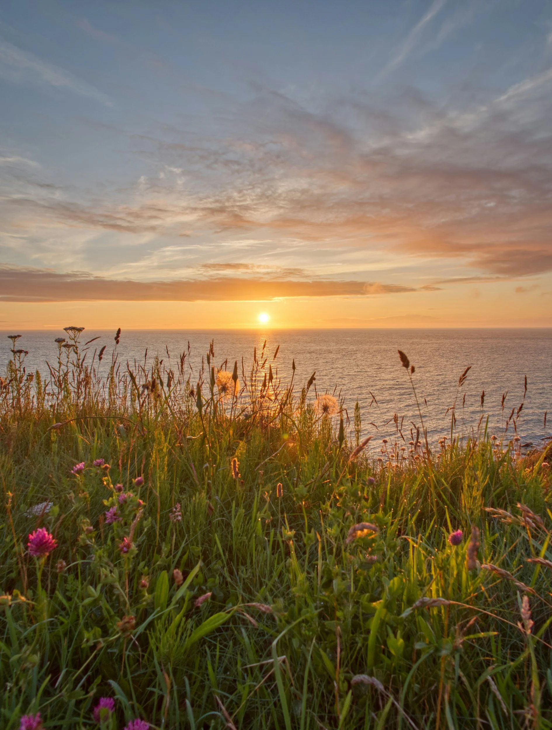 A sunset over the ocean with colorful clouds in the sky and wildflowers in the foreground. Vérité Aesthetic Medicine | Injectables in Philadelphia