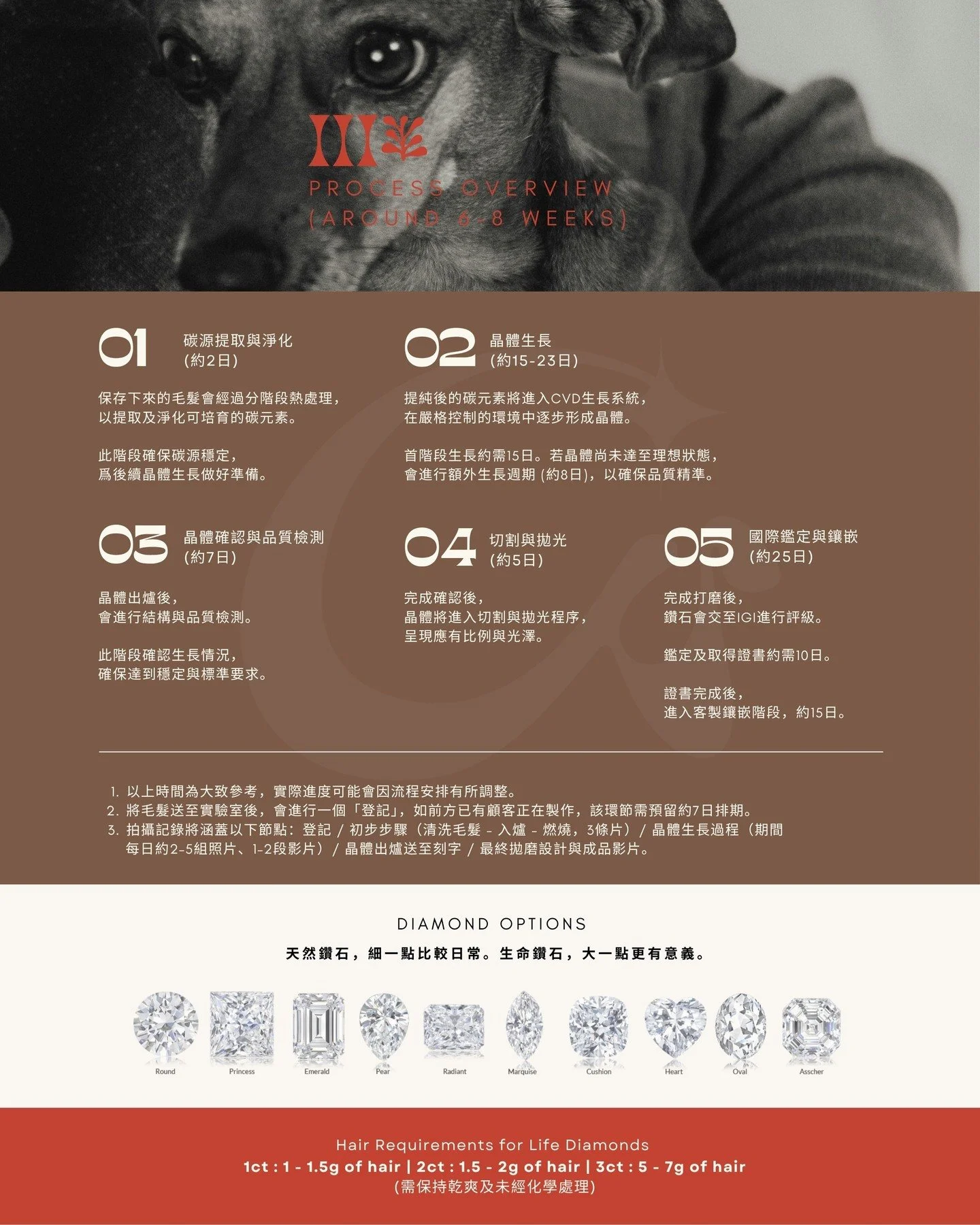 Chapter III, where life becomes something lasting. 🤍

#dnadiamond