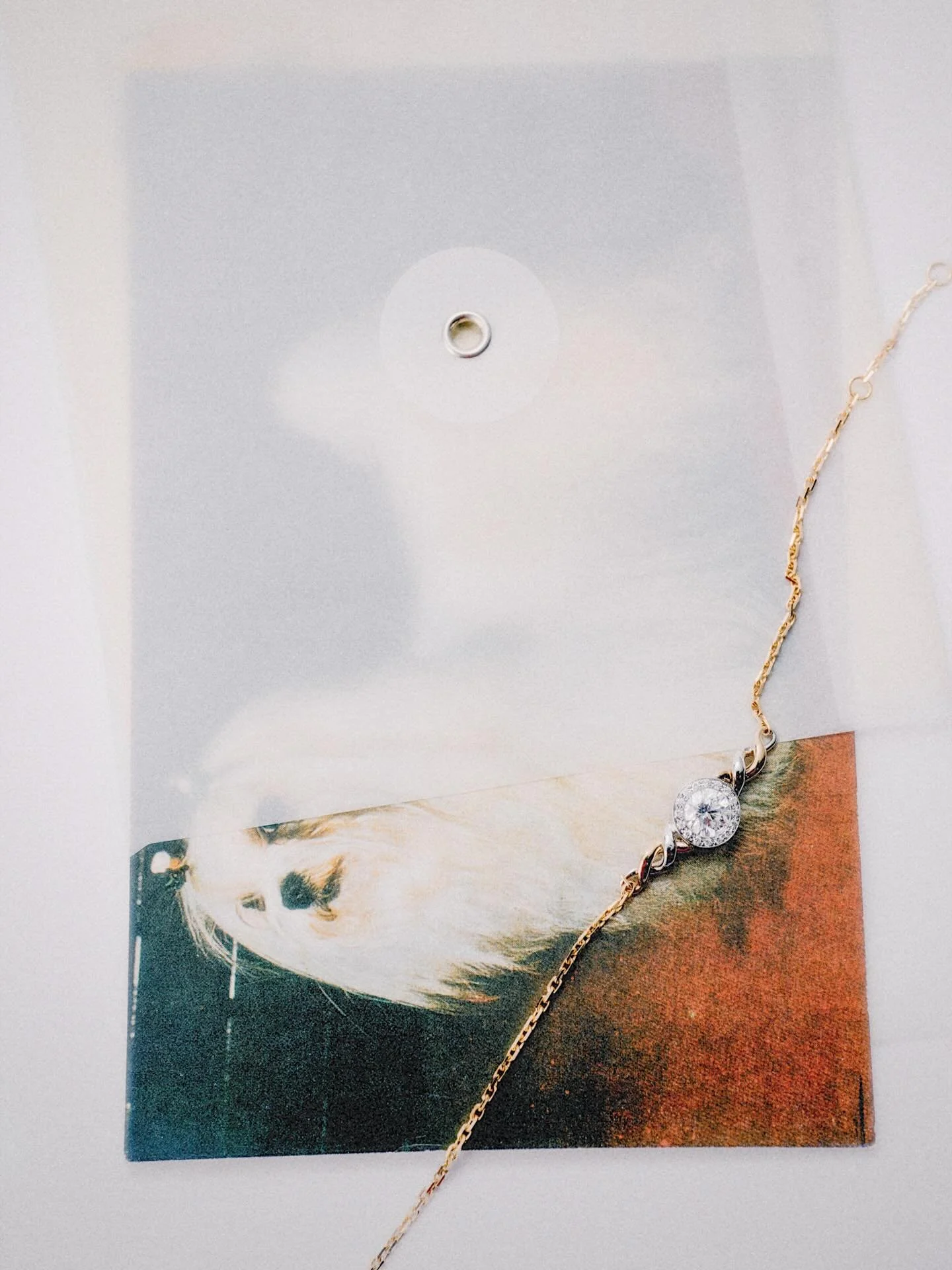 Gold &amp; Silver. Half a life. Whole memory. 
金與銀，一半的生命，全然的記憶。

#dnadiamond