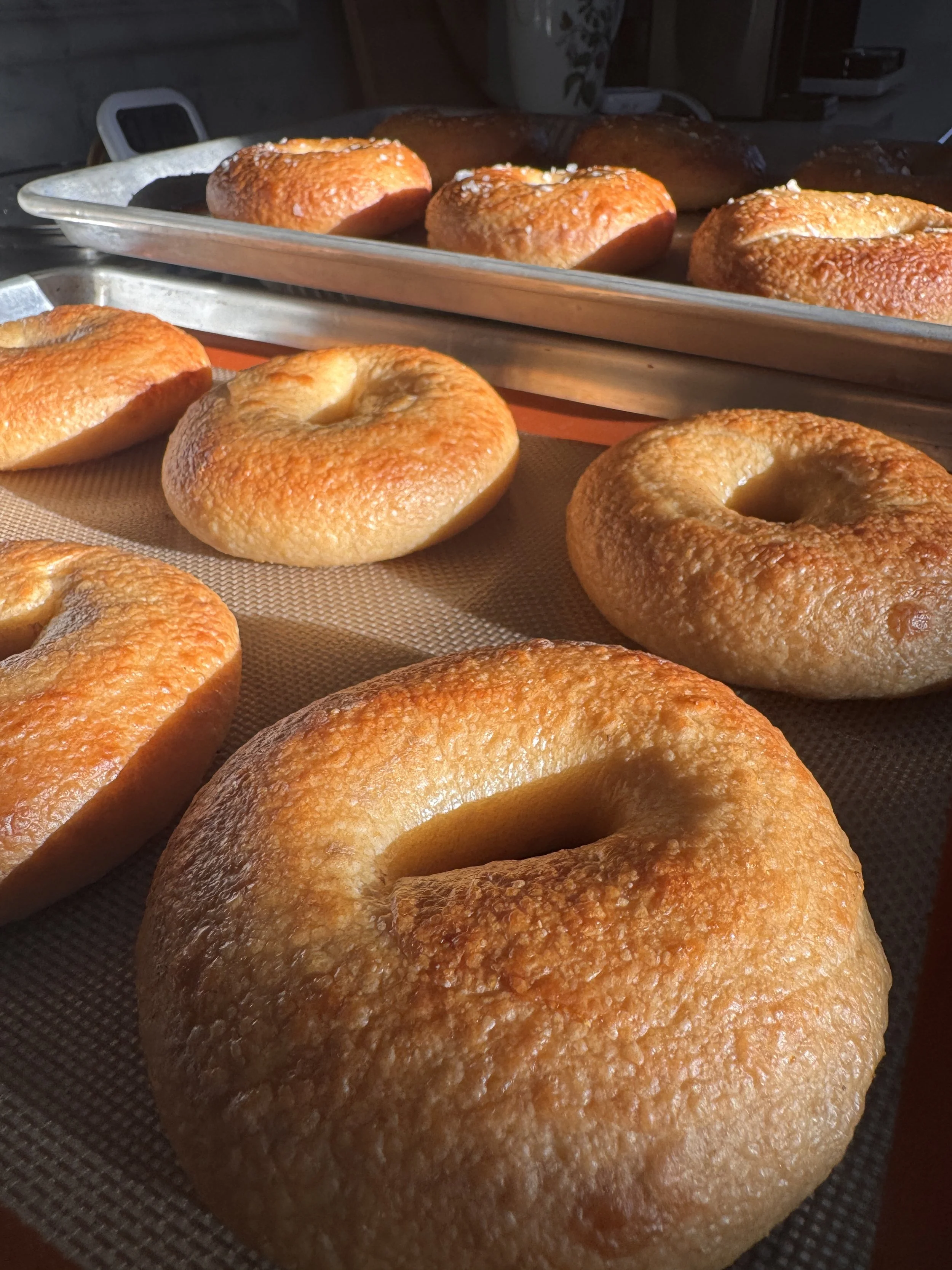 Bagels sheet pan.JPG
