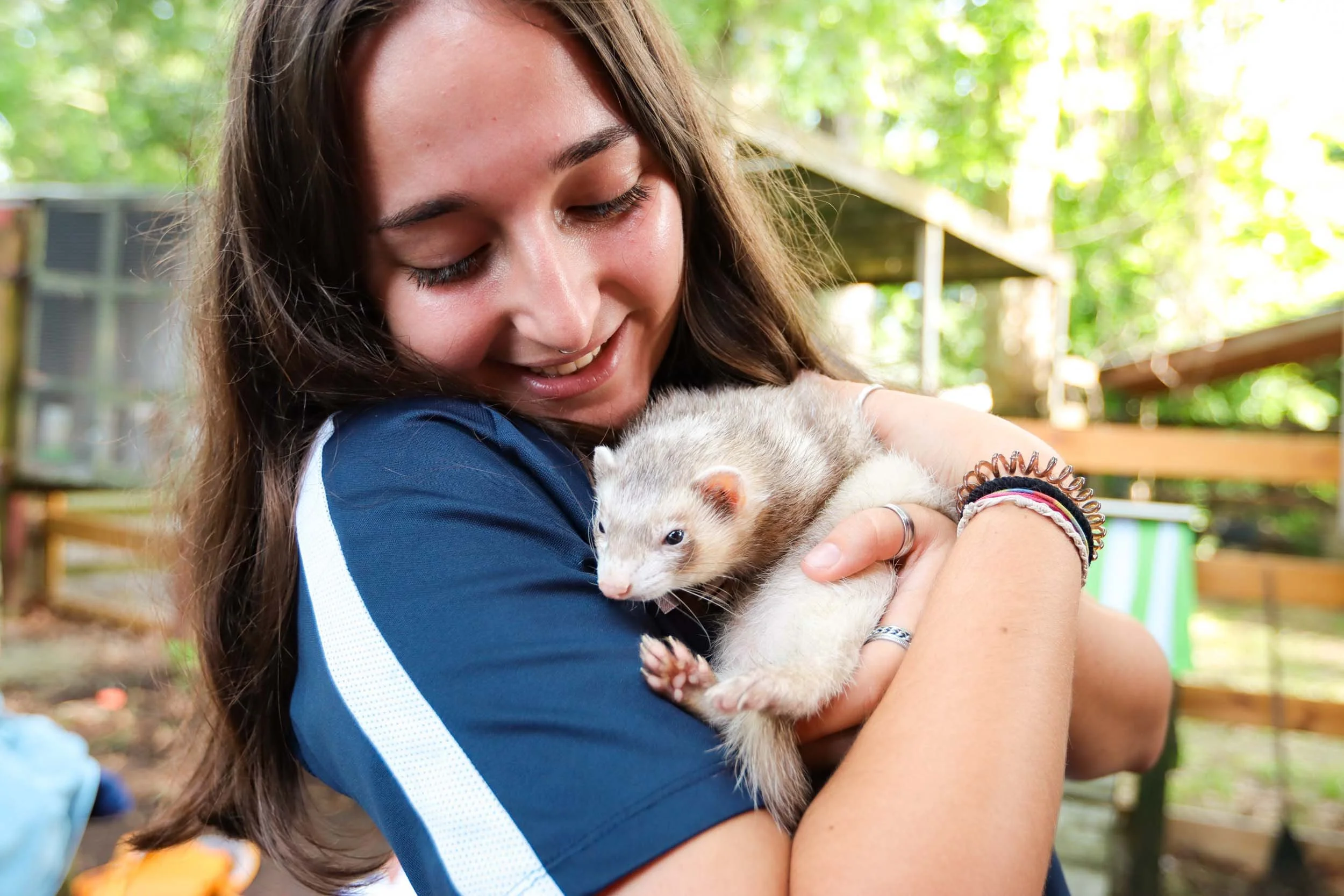 A teen girl carefully holding a ferret close to her.