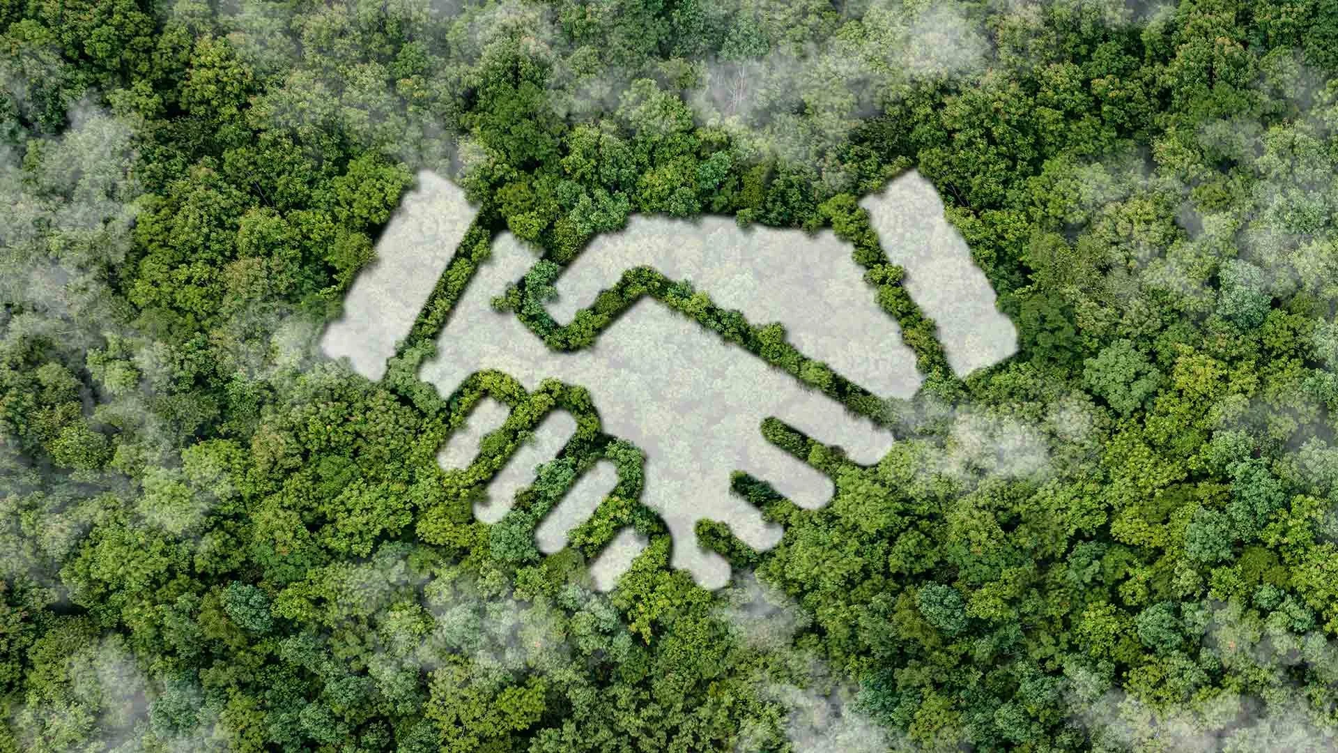 Aerial view of a dense forest with a large graphic of two shaking hands made from cleared land and trees.