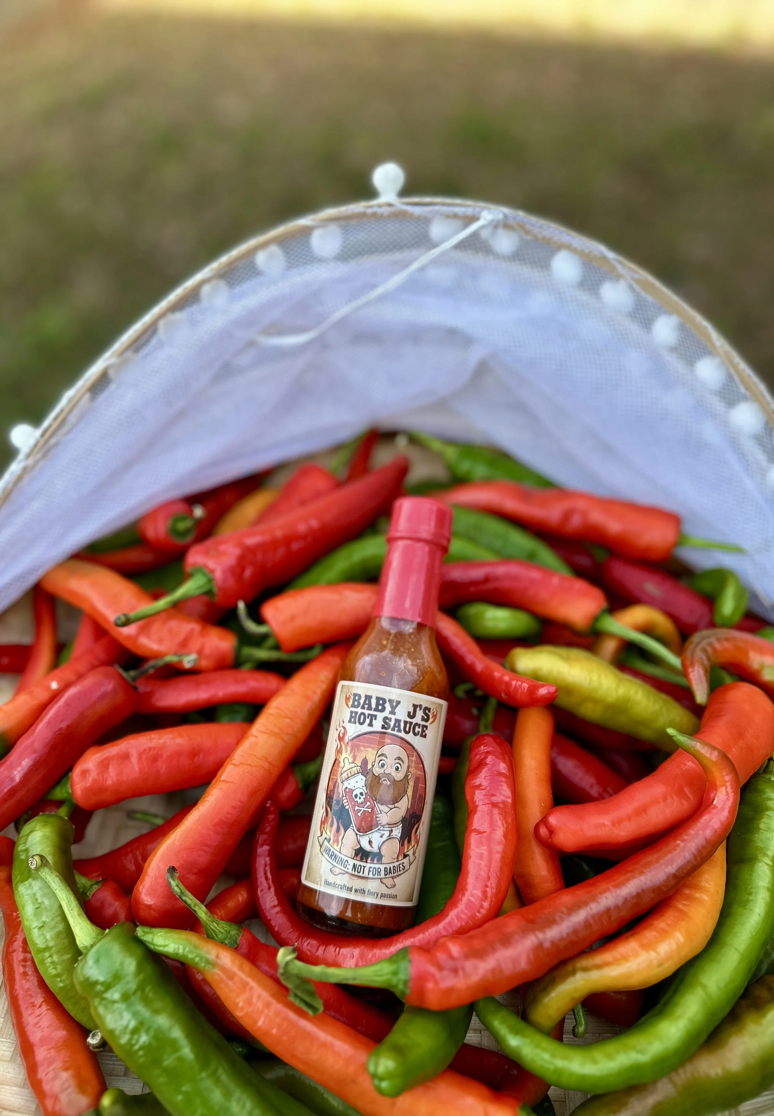 A small bottle of Baby J's Hot Sauce placed among colorful chili peppers, with a mesh food cover in the background.