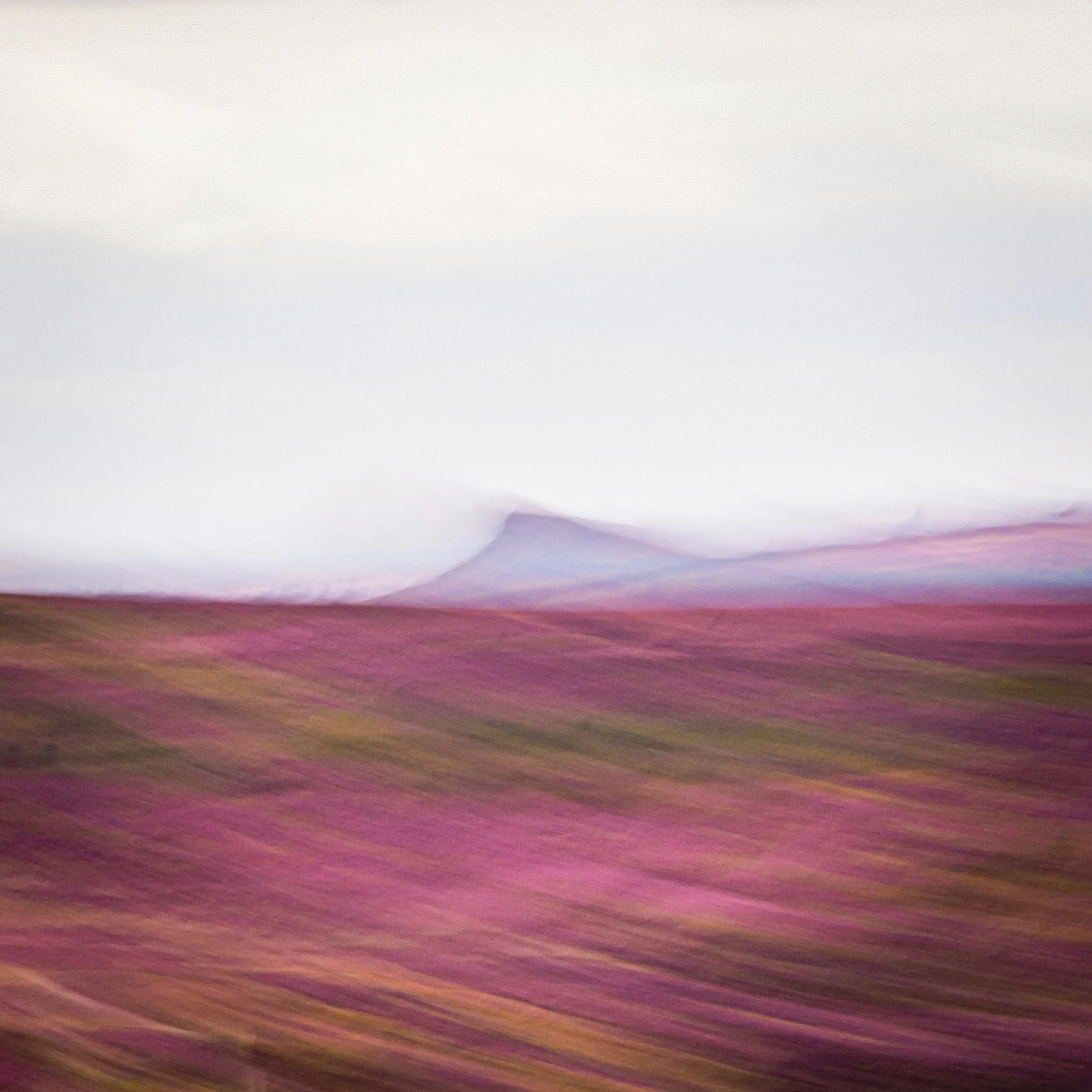 Landscape - ICM