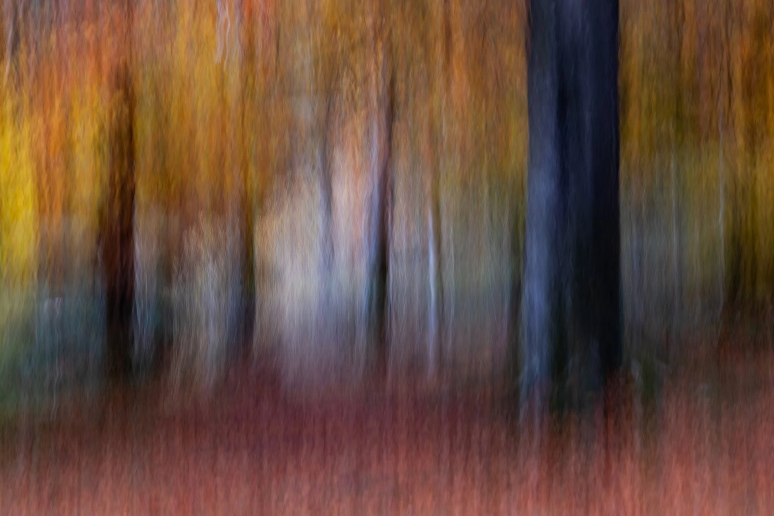 Enchantment