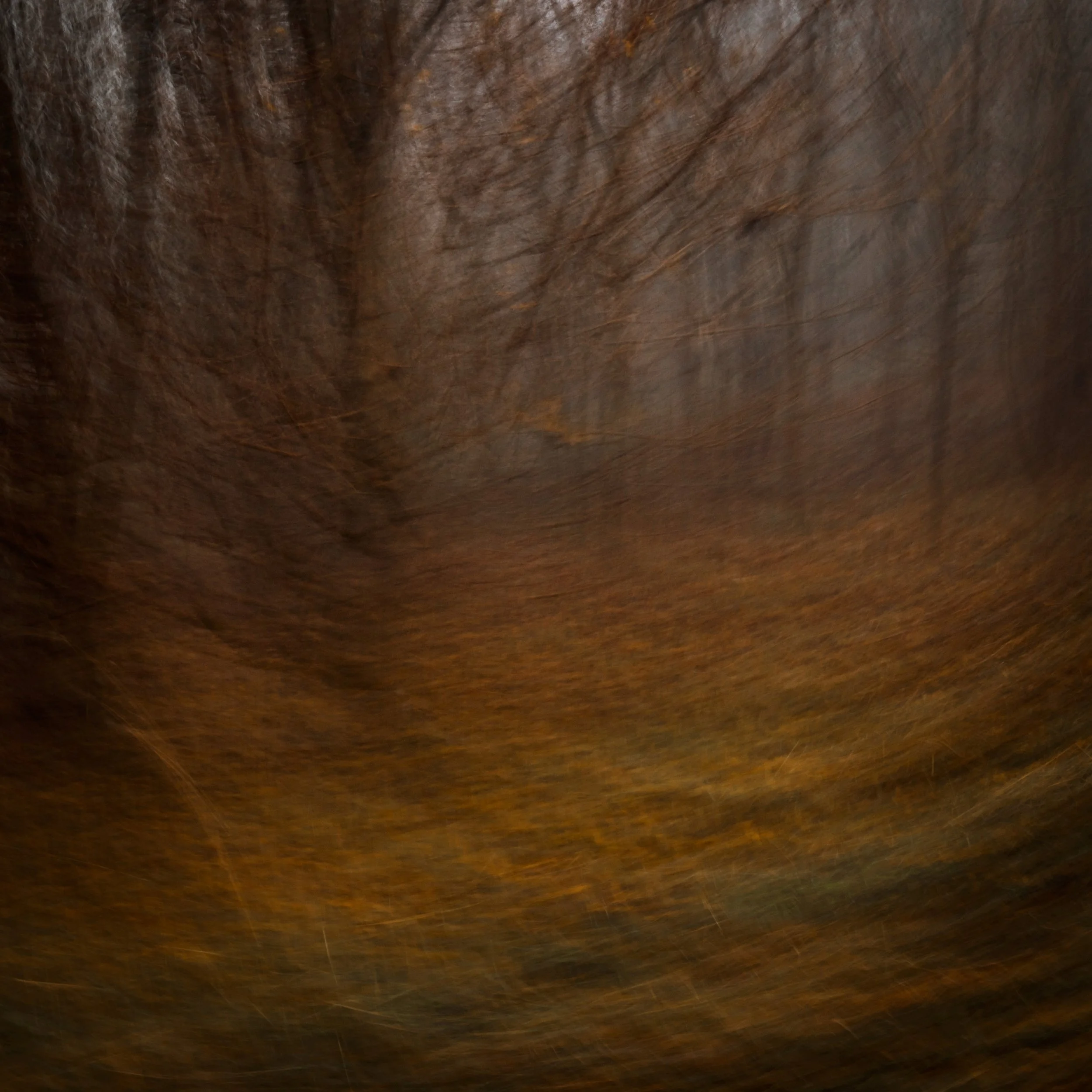 Leshy