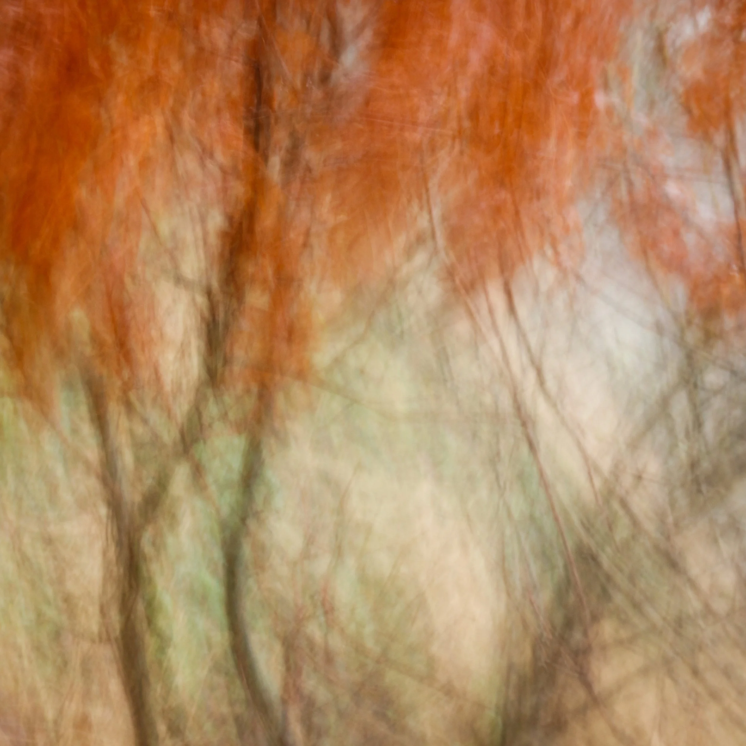 Nature Spirit