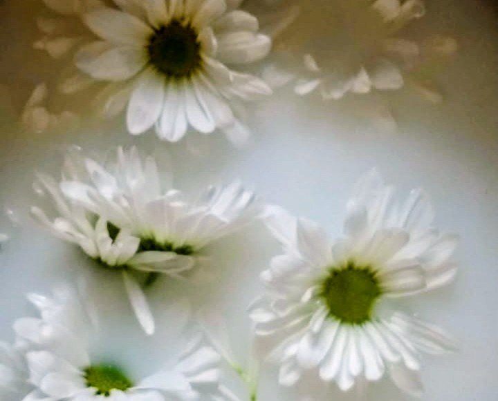 Spiritual Bath - Tranquility - Calming Nervous System
