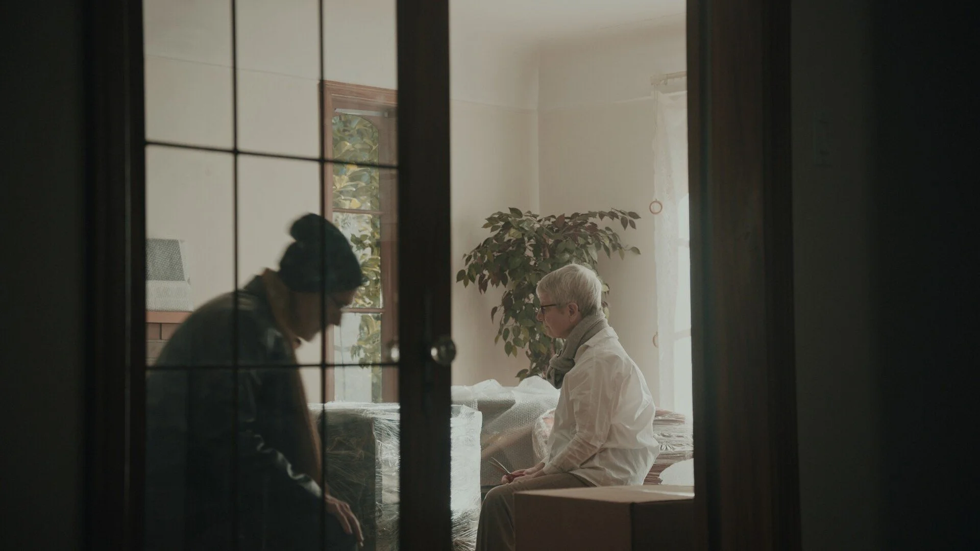 A woman and an elderly woman sitting and interacting inside a well-lit room through a glass door with grid patterns, with a large plant and natural light from windows behind them.