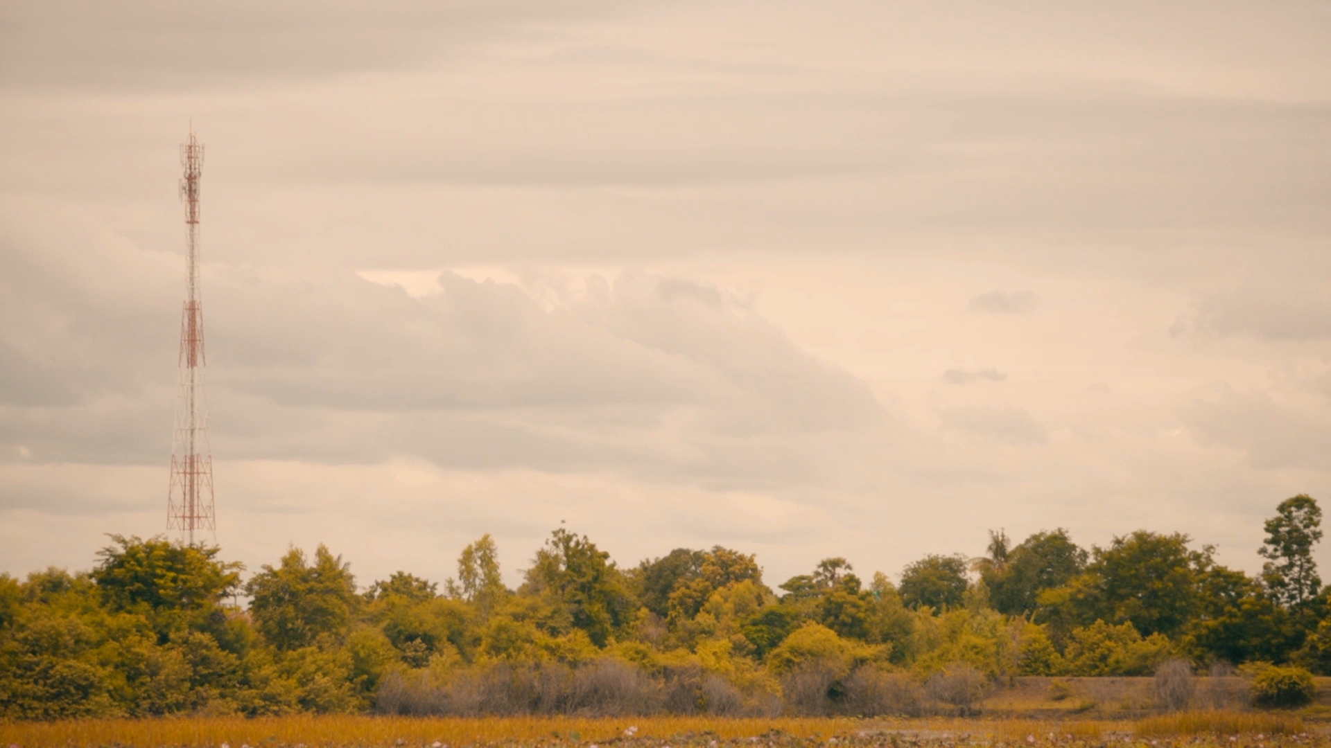 A tall, red and white communication tower in a landscape with a tree line, under a cloudy sky during daytime.
