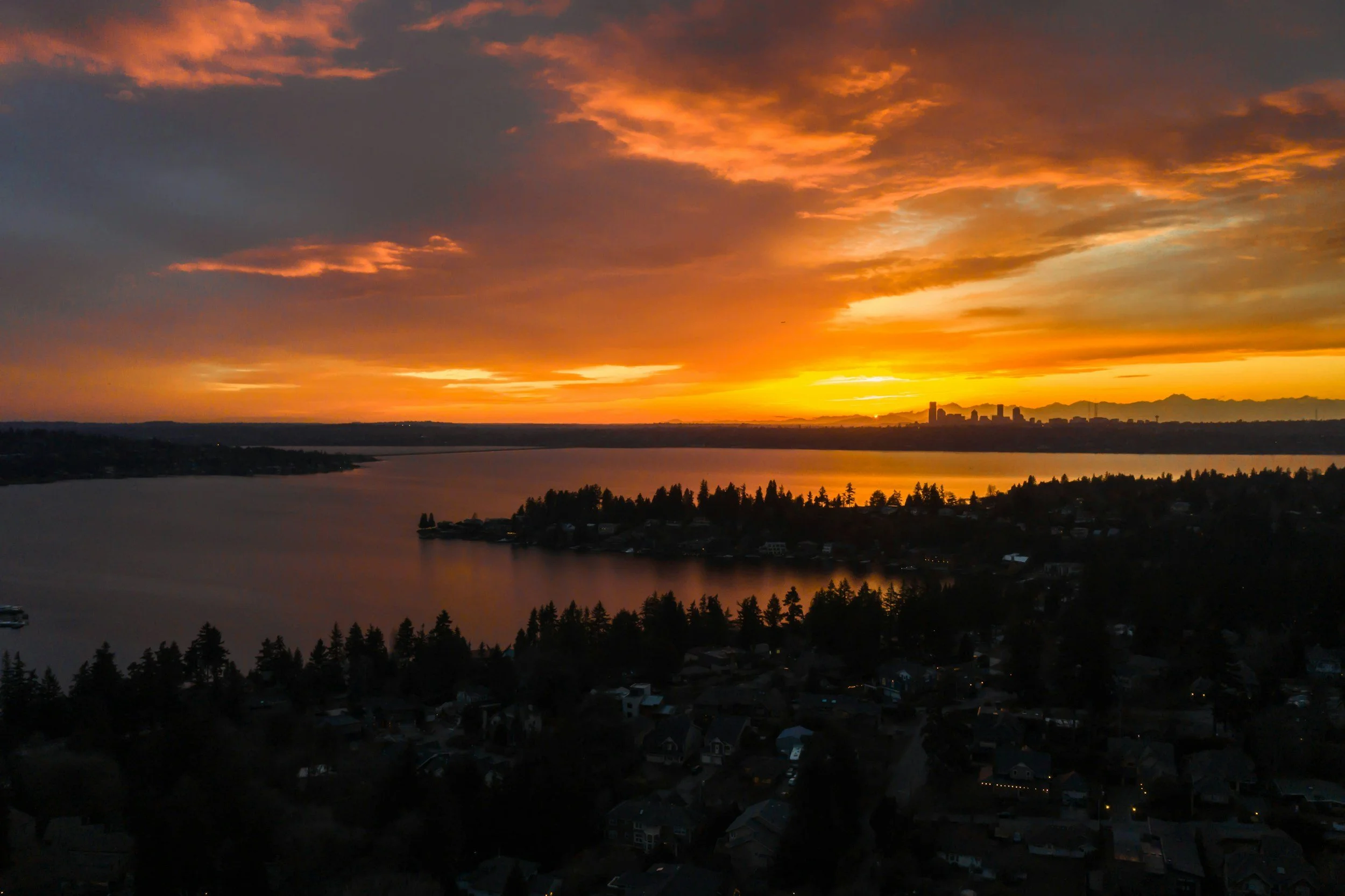 A sunset over a body of water with silhouetted trees and a distant city skyline in the background.