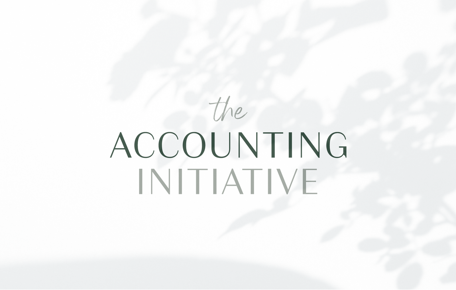 Text saying 'the ACCOUNTING INITIATIVE' with a shadow of leaves in the background.