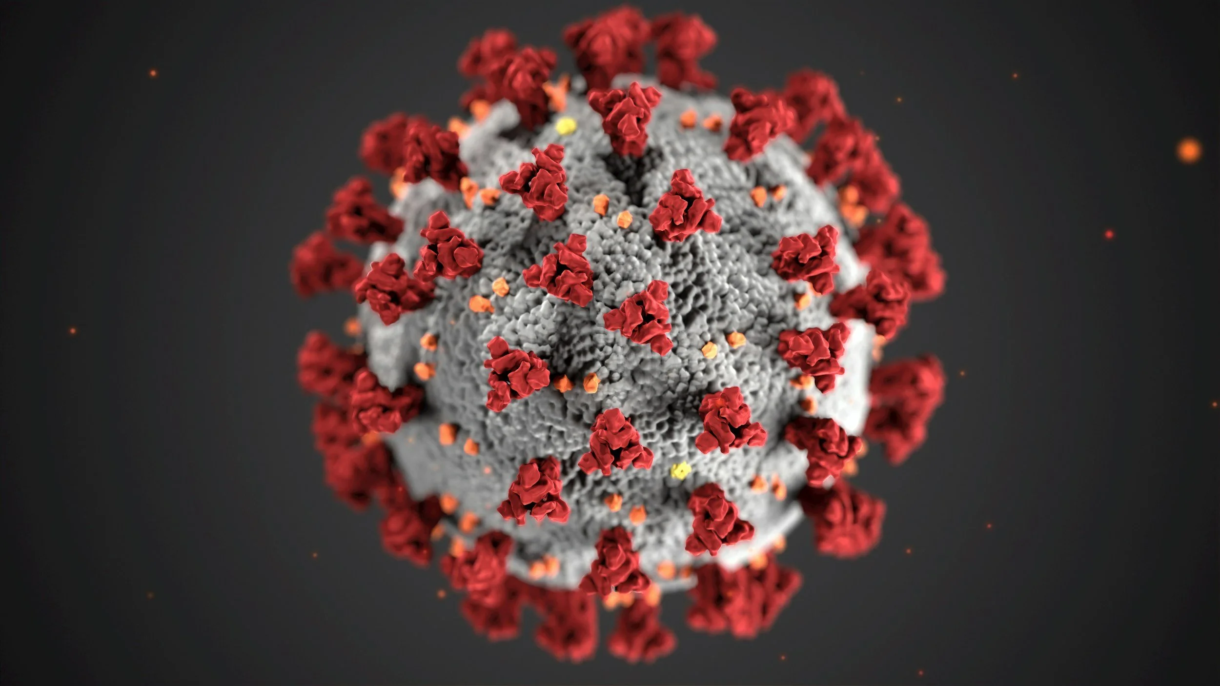 Eine grafische Darstellung des Coronavirus mit einer grauen kugelförmigen Oberfläche und roten Teilen, die die Spike-Proteine darstellen, vor einem dunklen Hintergrund.