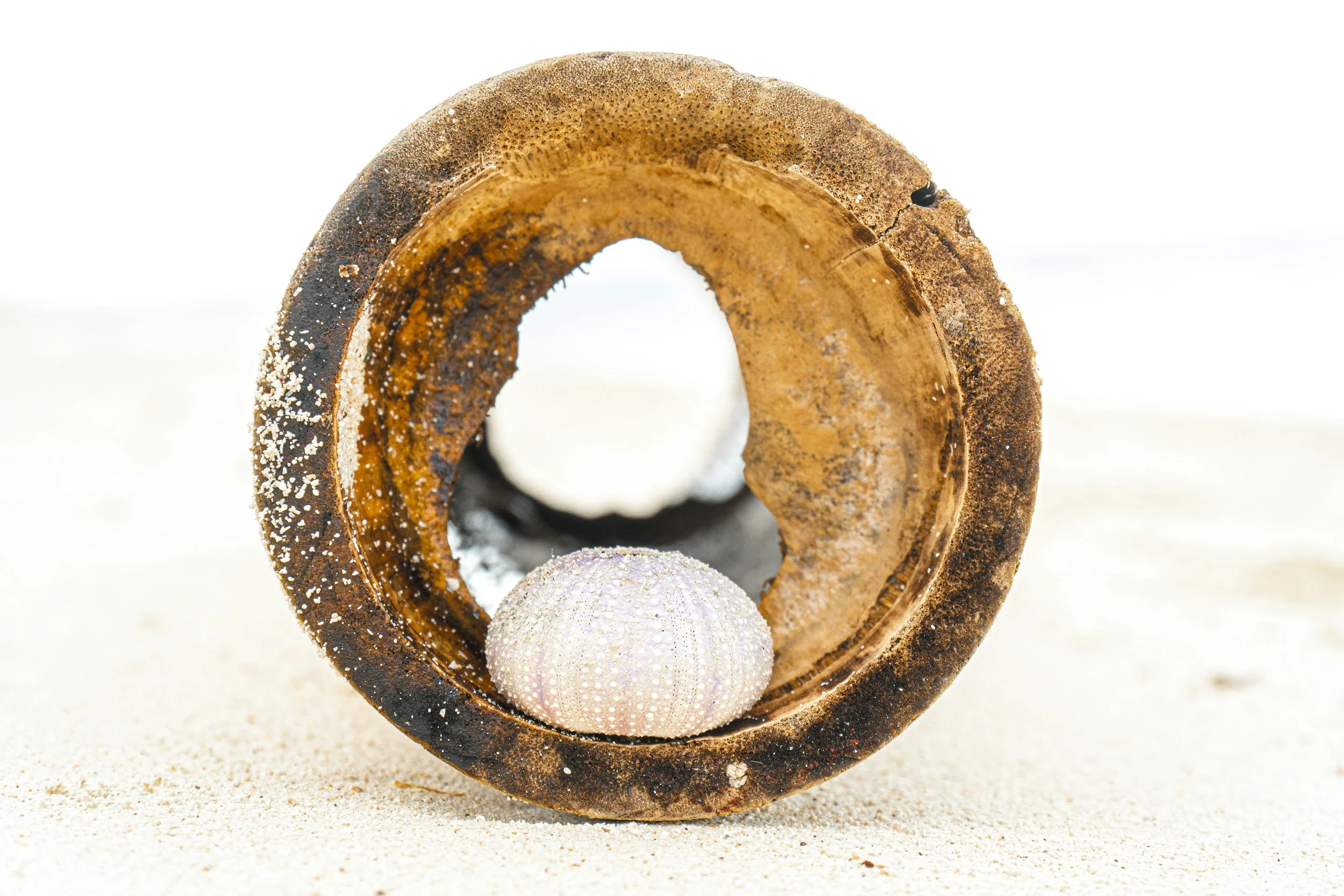 Ein Schokoladen-Donut in einer Holzröhre, mit zwei lila dekorativen Kugeln, auf Sand