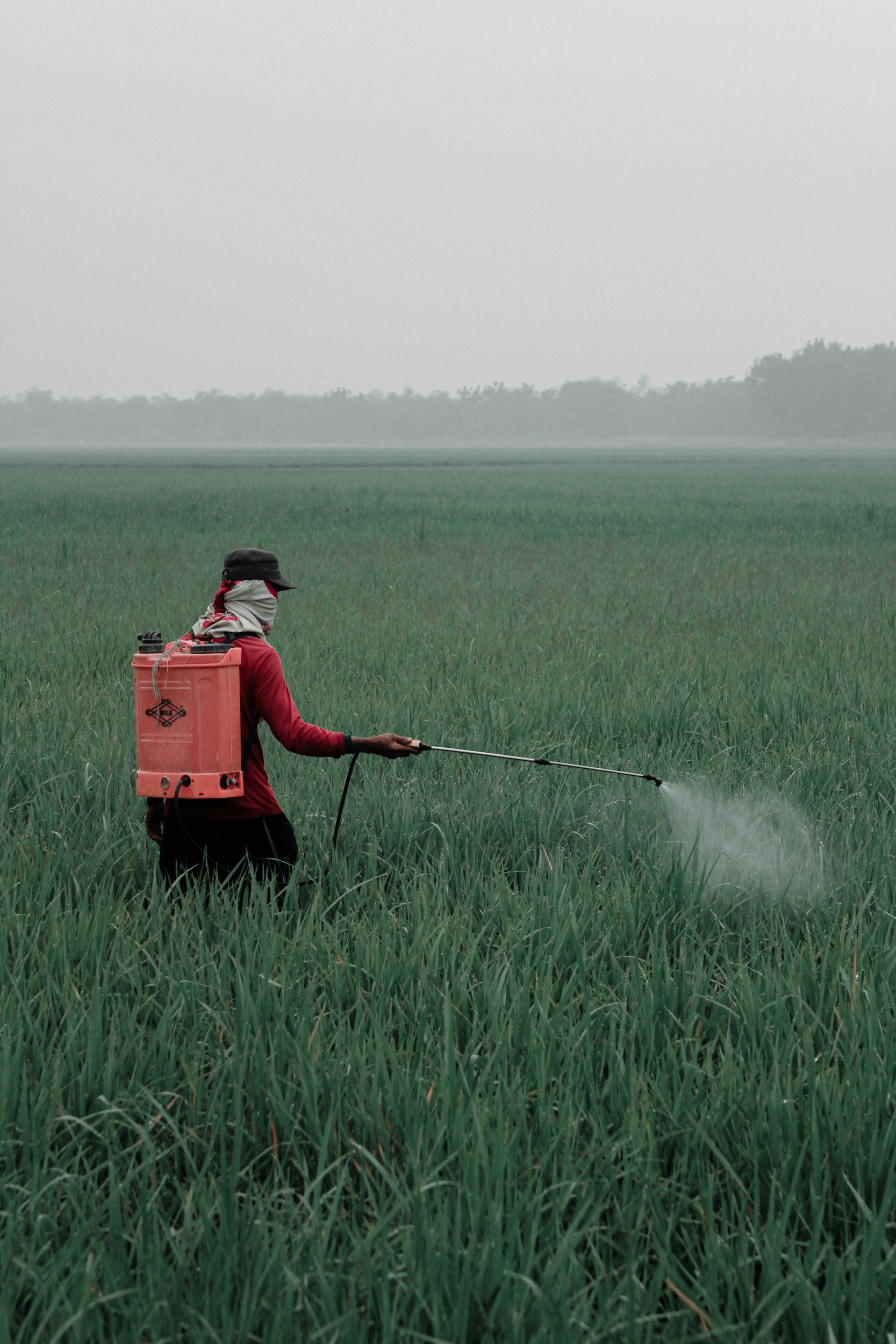 Landwirtschaftlicher Arbeiter sprüht Pestizide oder Dünger auf grüne Felder, bei bewölktem Himmel.