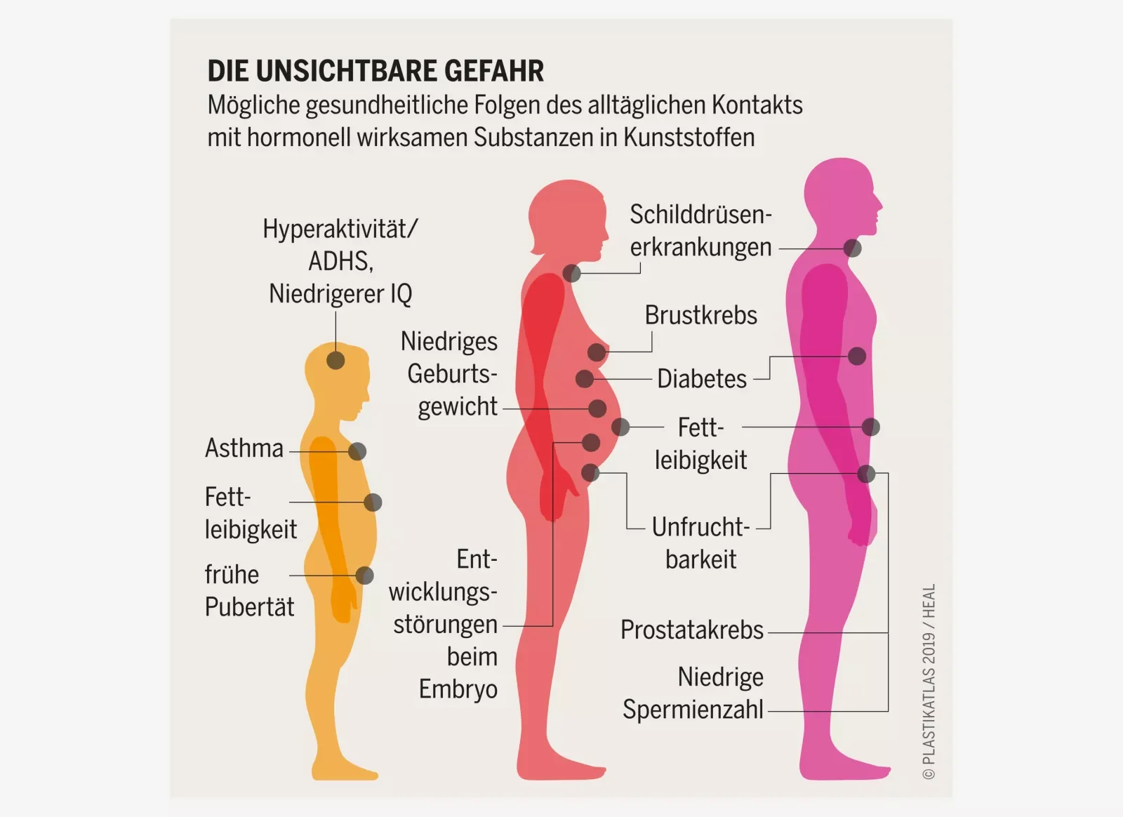 Grafik zeigt die unsichtbare Gefahr hormonell wirksamer Substanzen in Kunststoffen bei alltäglichen Kontakten. Es veranschaulicht, wie solche Substanzen im Körper organbezogene Krankheitsbilder verursachen können, darunter Schilddrüsenerkrankungen, Brustkrebs, Diabetes, Übergewicht, Unfruchtbarkeit, Prostatakrebs und niedrige Spermienzahlen.