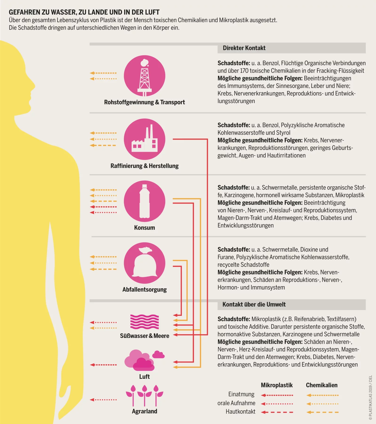 Infografik zeigt den Weg der Schadstoffe durch die Umwelt, beginnend bei der Rohstoffgewinnung, dann Raffinierung, Konsum, Abfallentsorgung, Kontakt mit Wasser, Luft und Erde, bis hin zum Kontakt über die Umwelt. Es verdeutlicht die Gesundheitsfolgen verschiedener Schadstoffe wie toxische Chemikalien, Mikroplastik und andere organische Verbindungen, die durch Luft, Wasser, Boden und Nahrung in den Körper gelangen können.