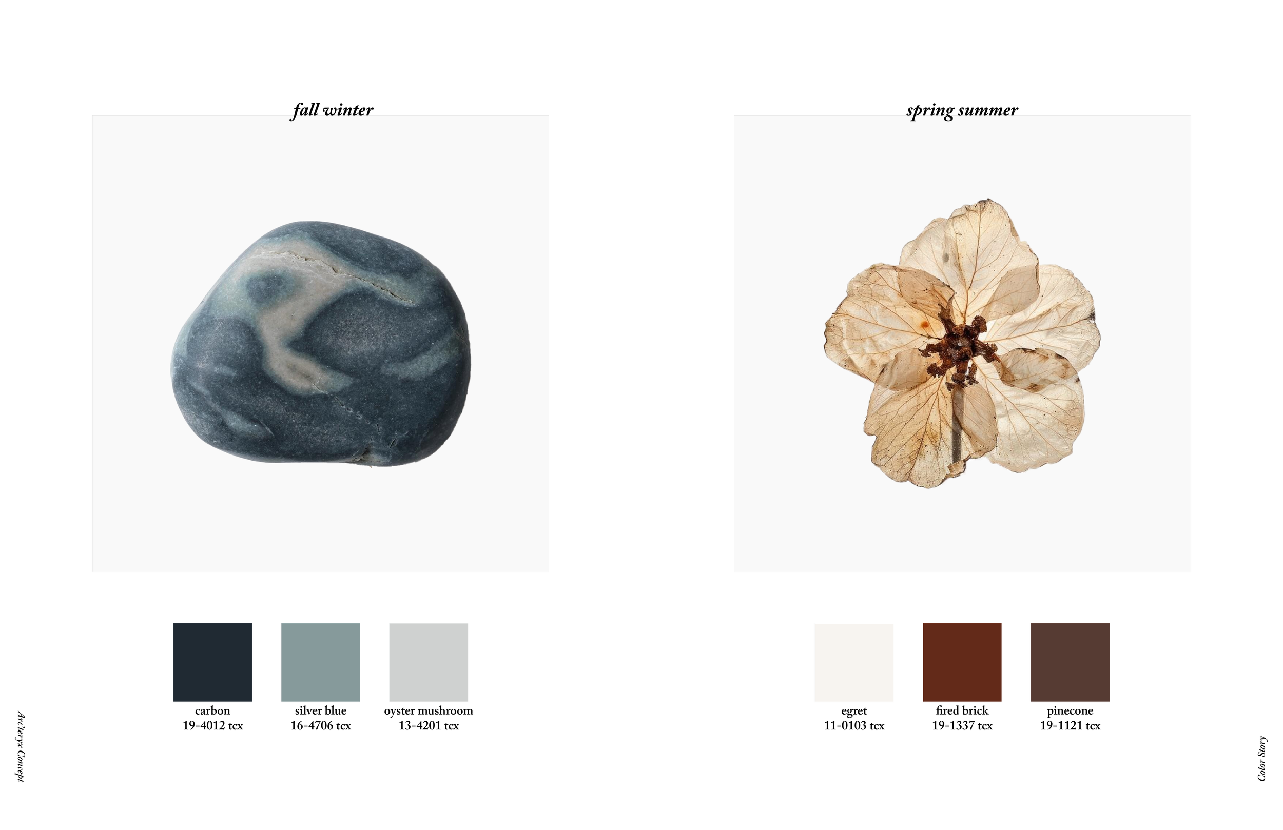 Artboard 13@500x.webp