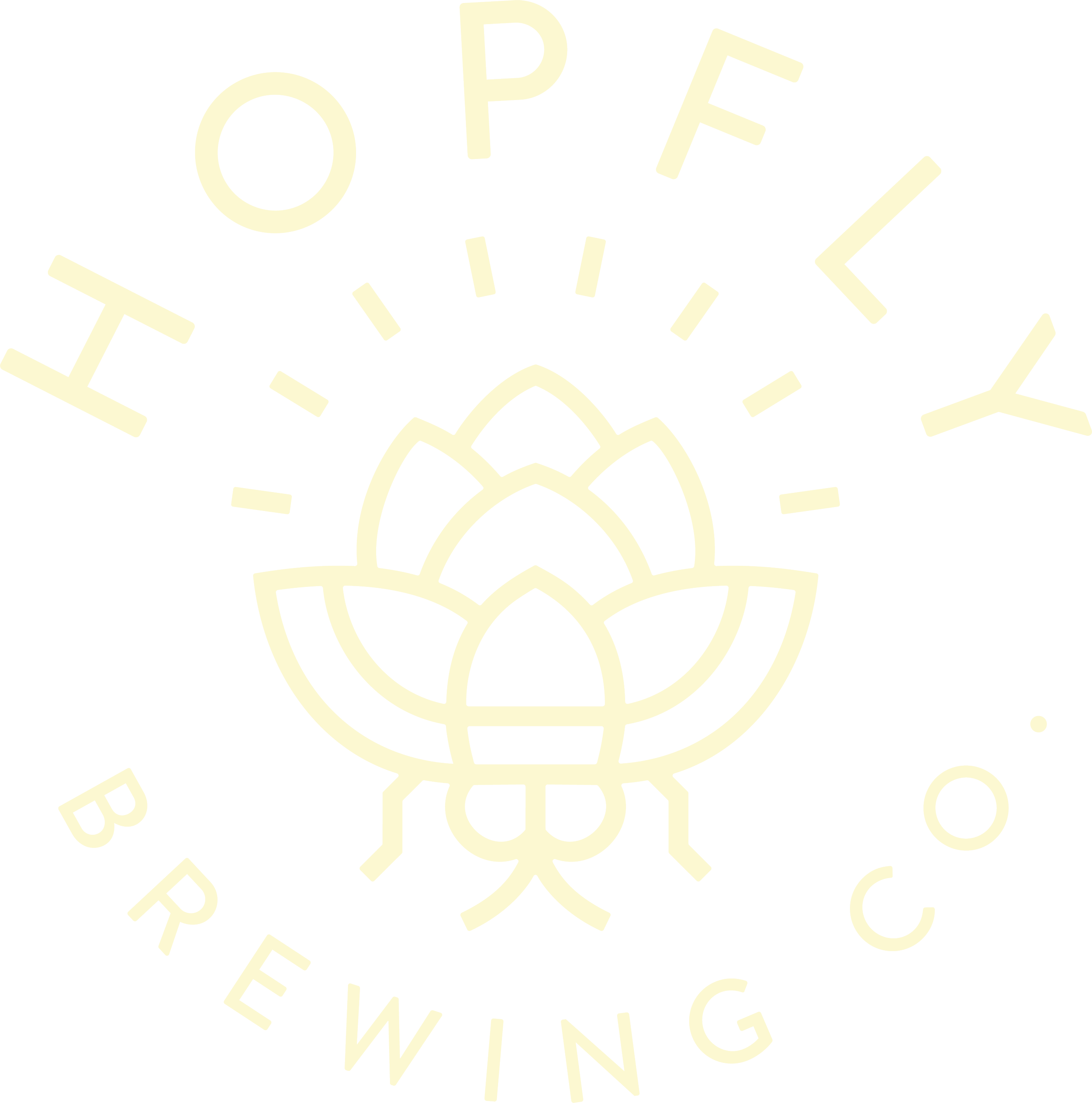 HopFly Brewing Company