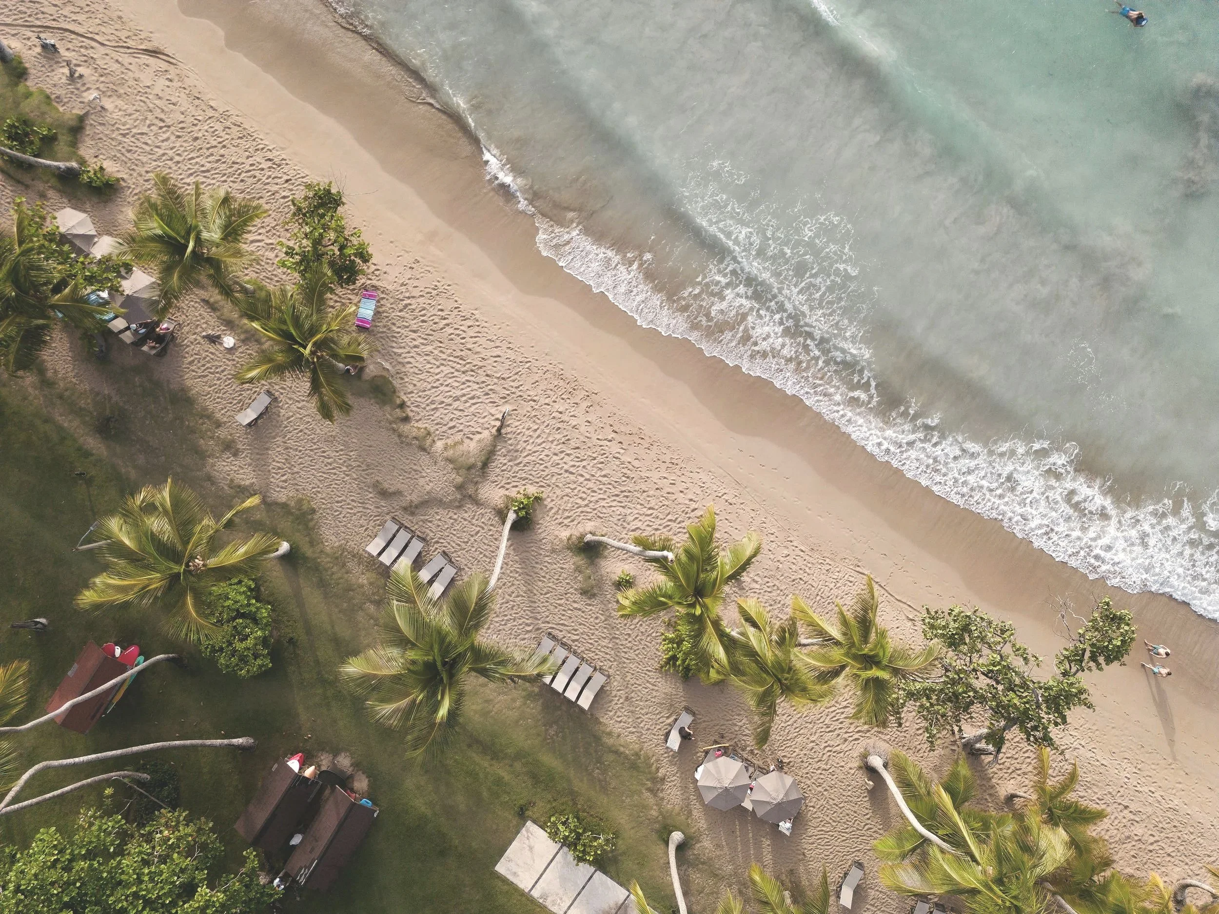 Aerial view of a sandy beach with palm trees, lounge chairs, and umbrellas, adjacent to the ocean with gentle waves.