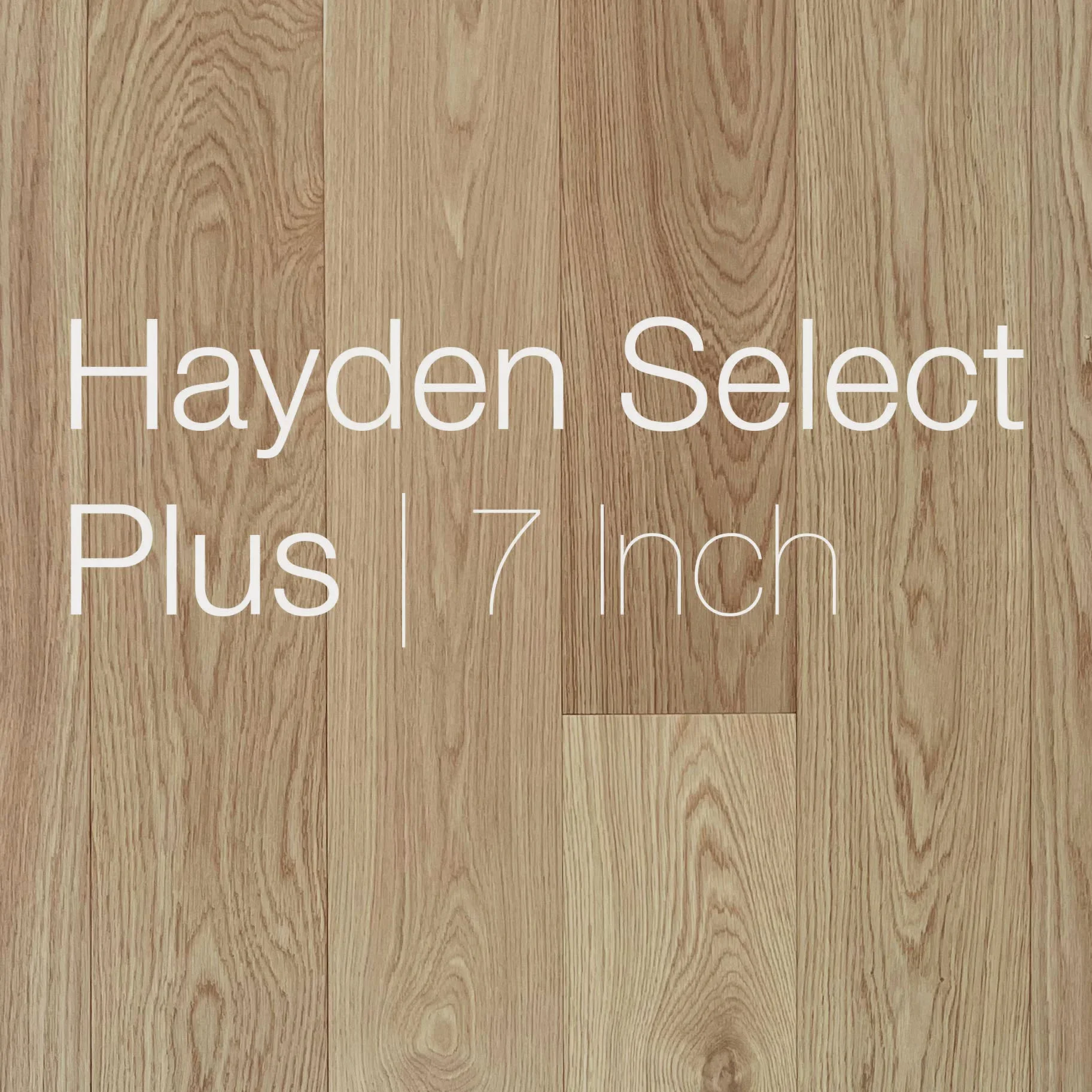 hayden-select-plus-page-thumbnail.webp
