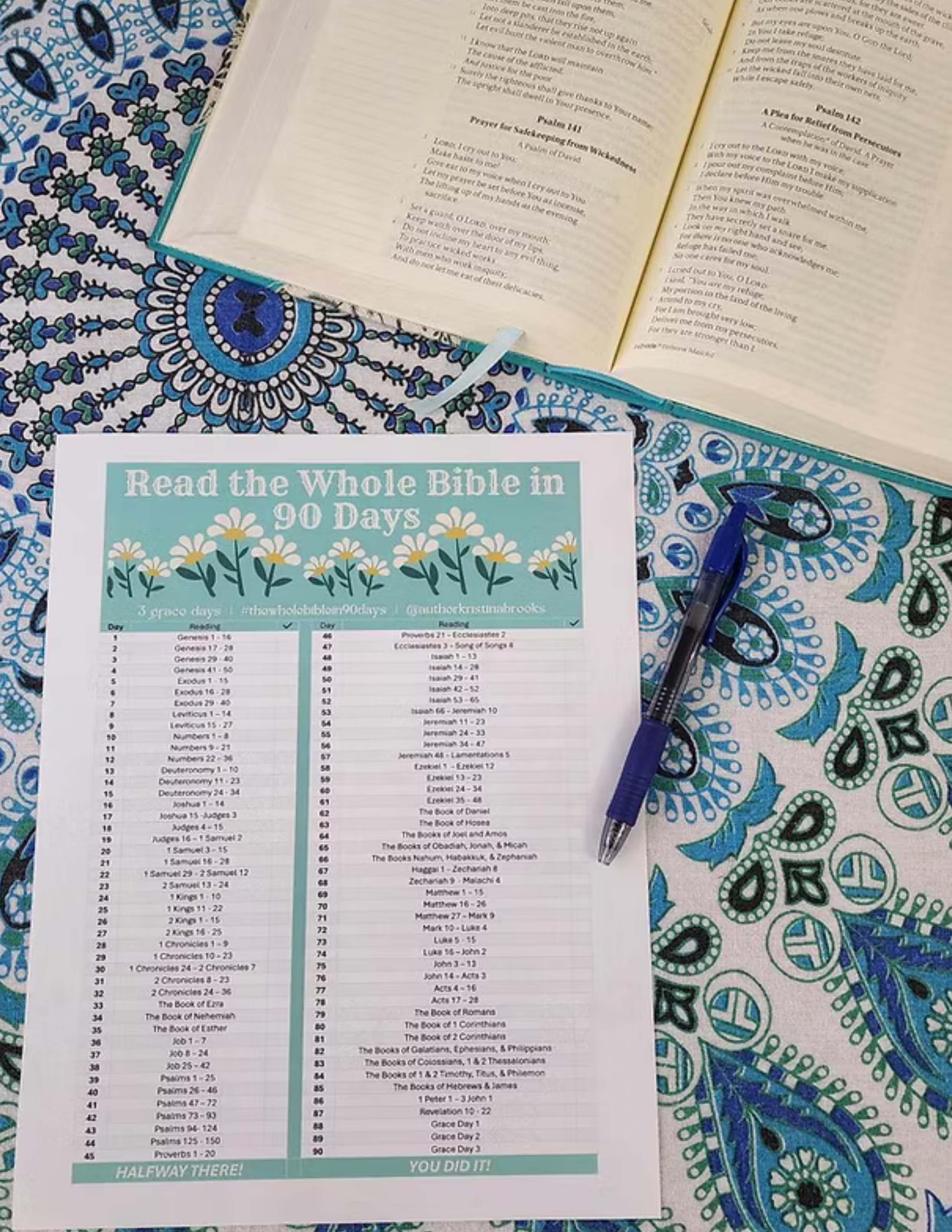 90-Day Bible Reading Plan ~ Download, Print, & Read the Bible Cover-to-Cover in 3 months