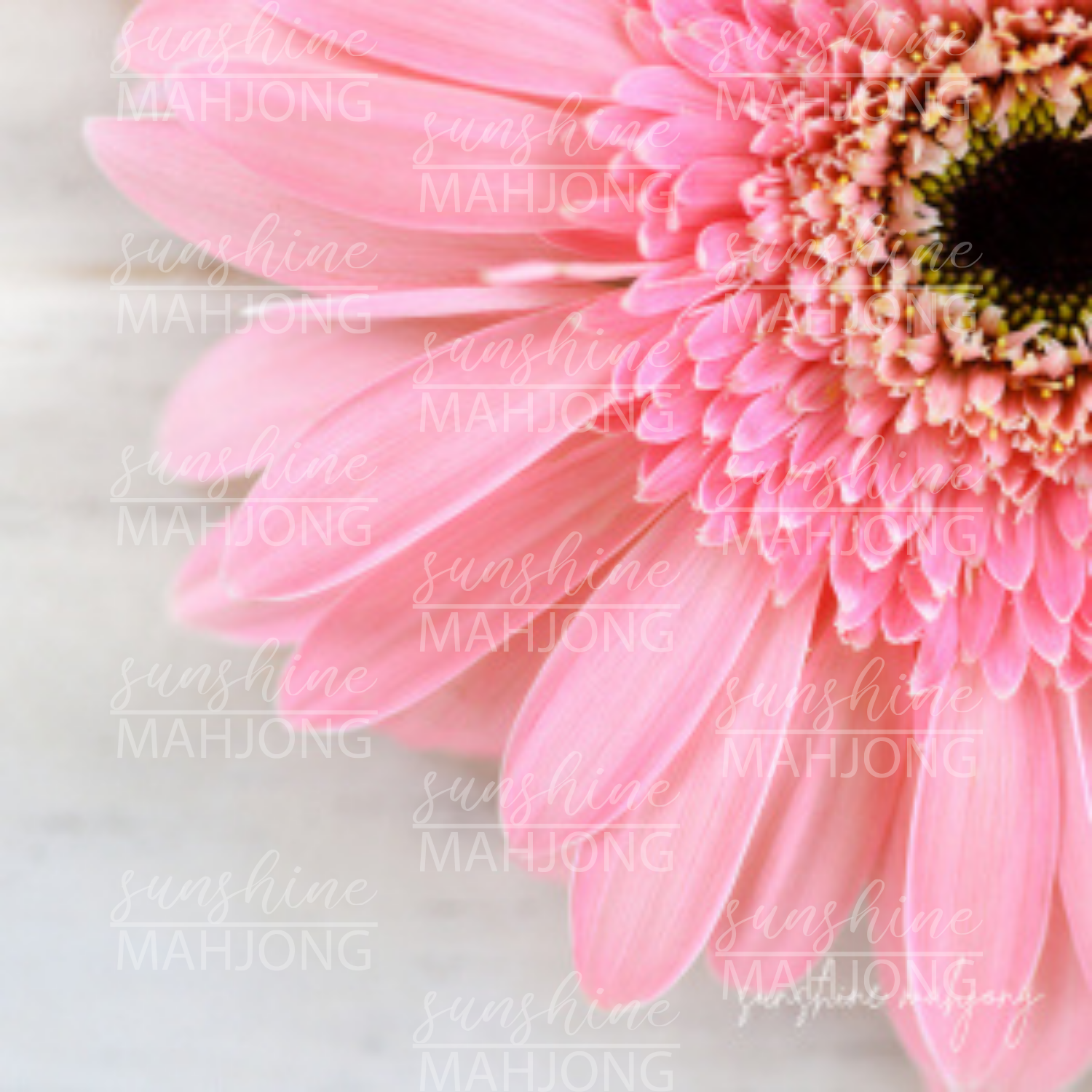 Petal Glow - Daisy