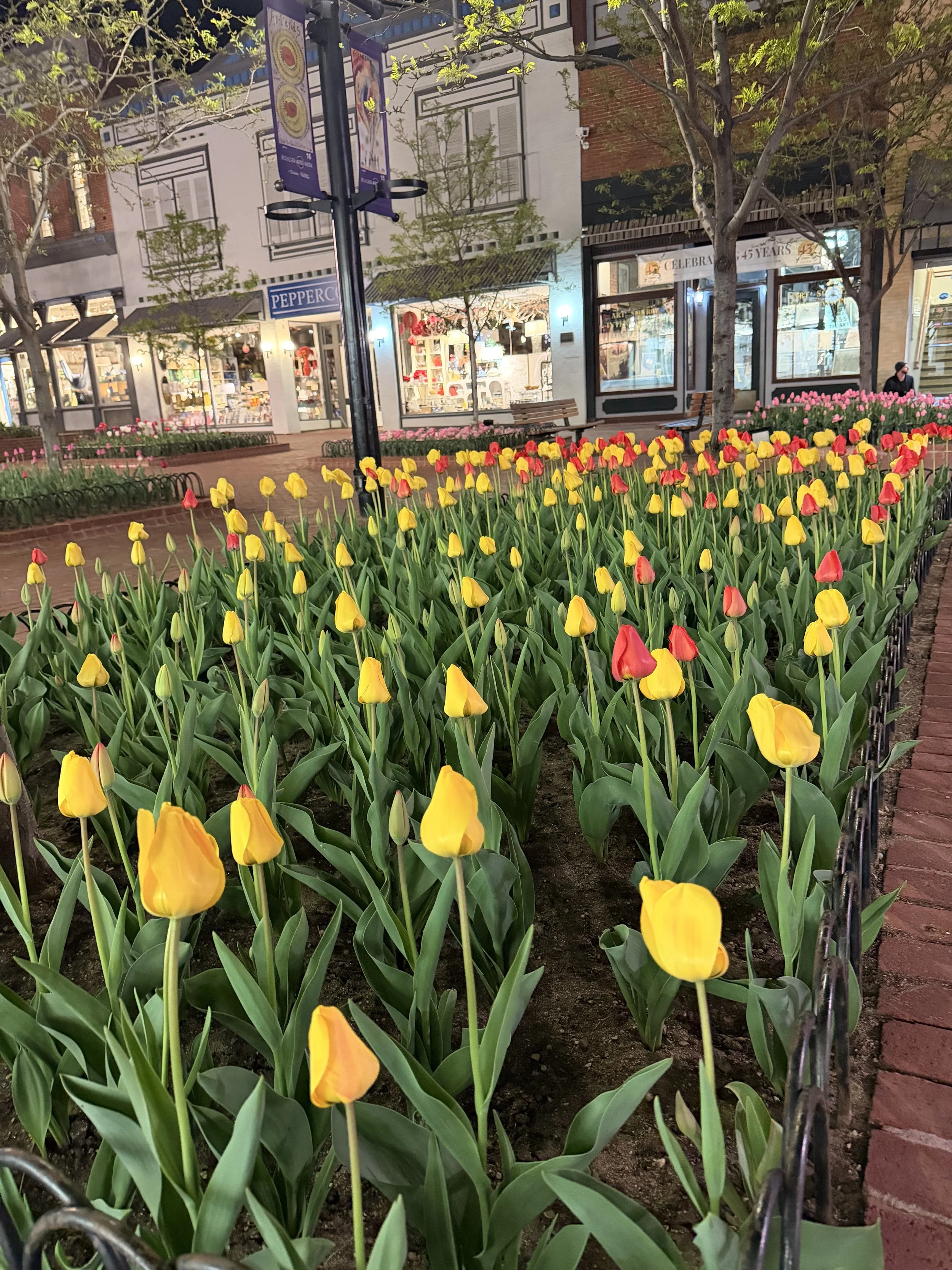 IMG_2158 2.jpeg