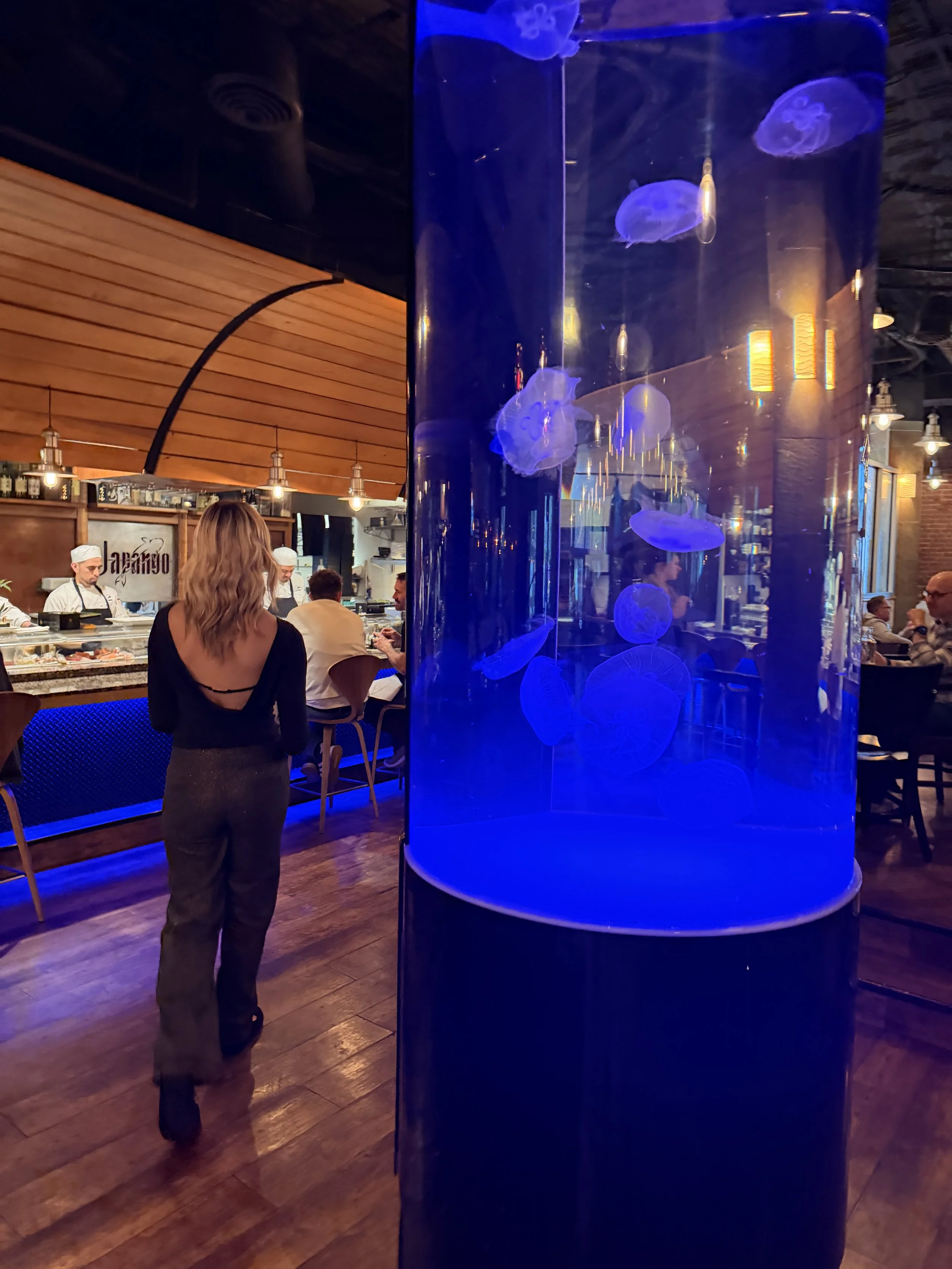 Jelly Fish Tank