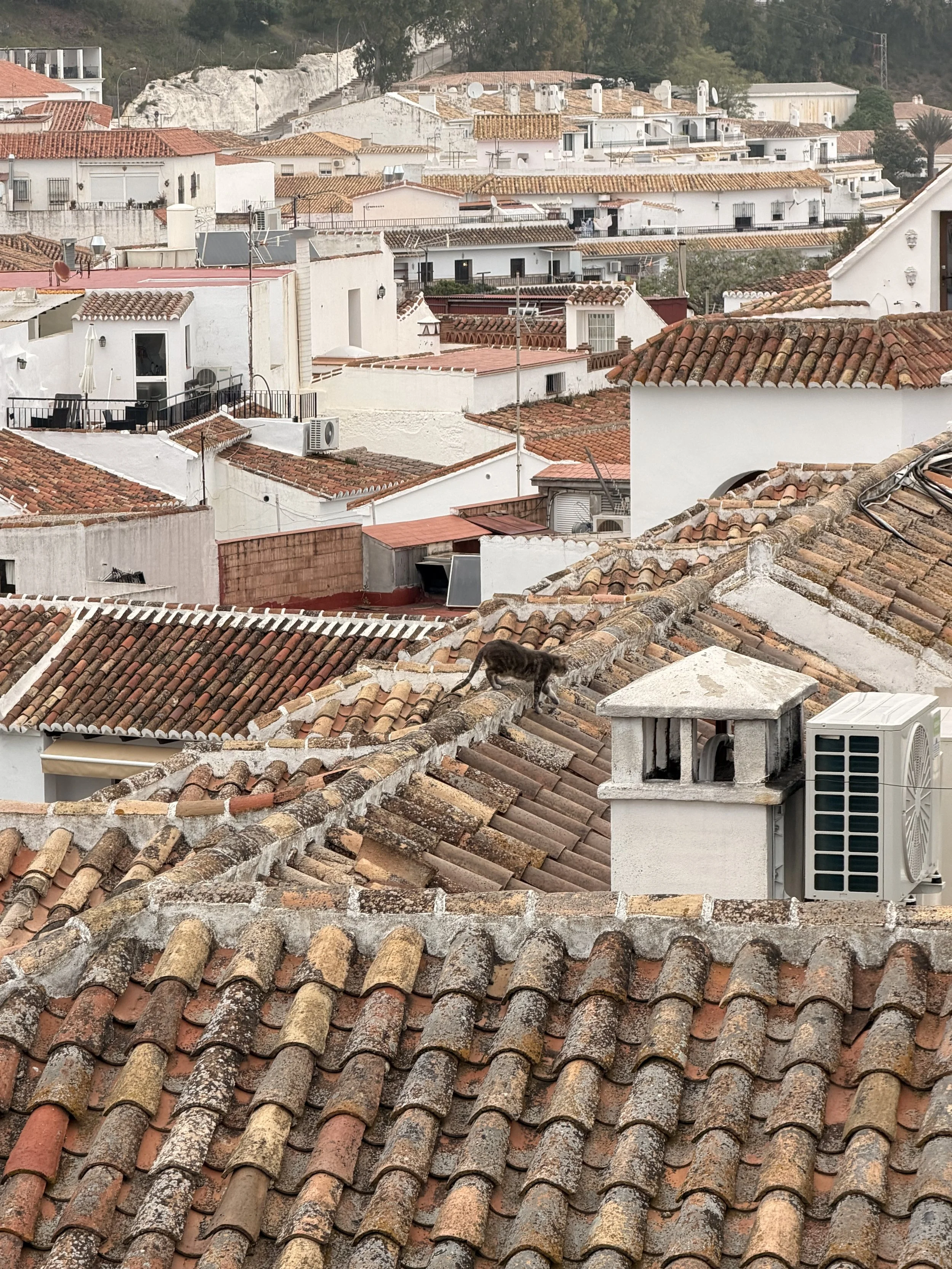 Andalusia's color palette
