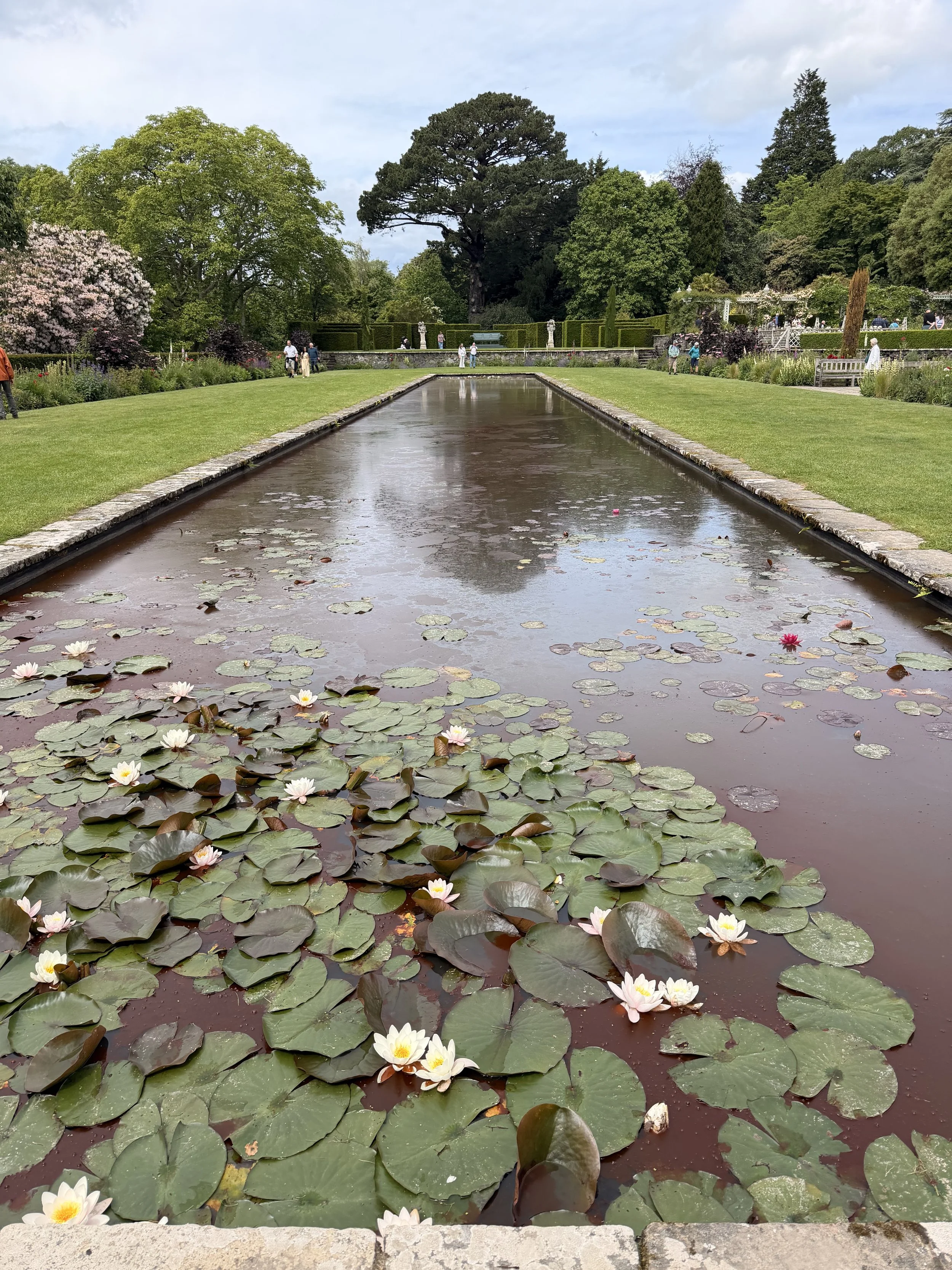 bodnant-garden-canal-terrace-lily-pond.jpeg
