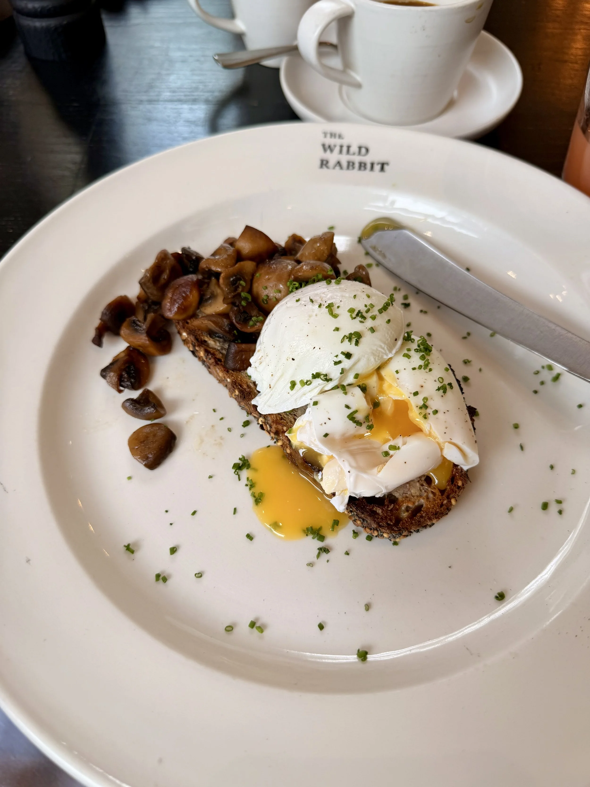 Breakfast Wild Rabbit.jpeg
