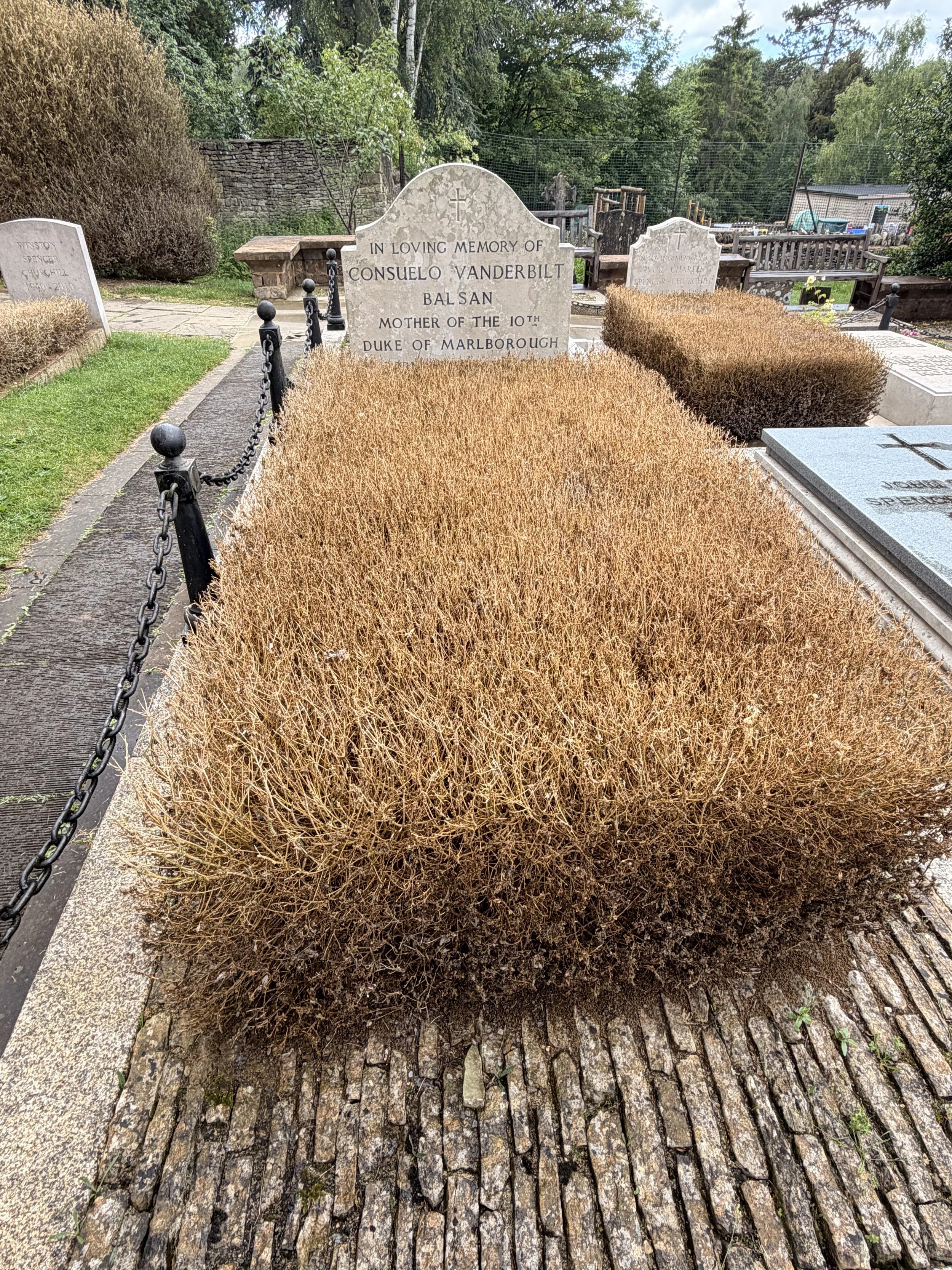 Grave of C. Vanderbilt