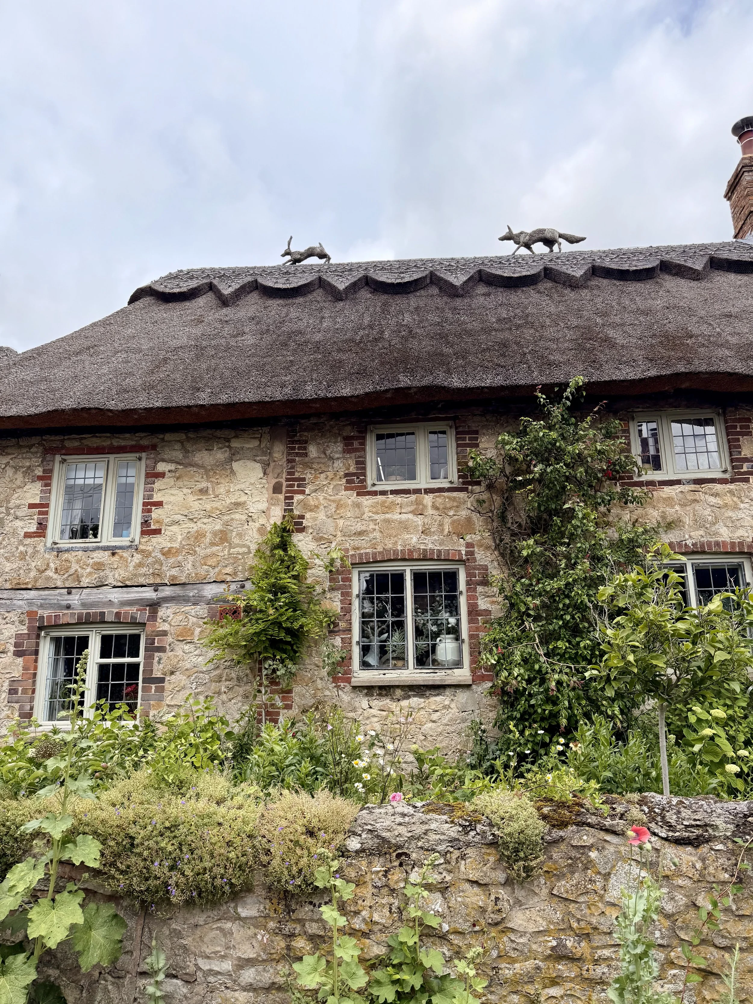 Fox chasing a hare in thatch.jpeg