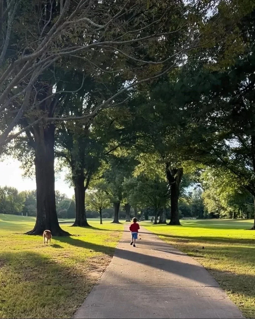 Child running on a sidewalk in a park with trees and a dog nearby, during sunset or late afternoon.