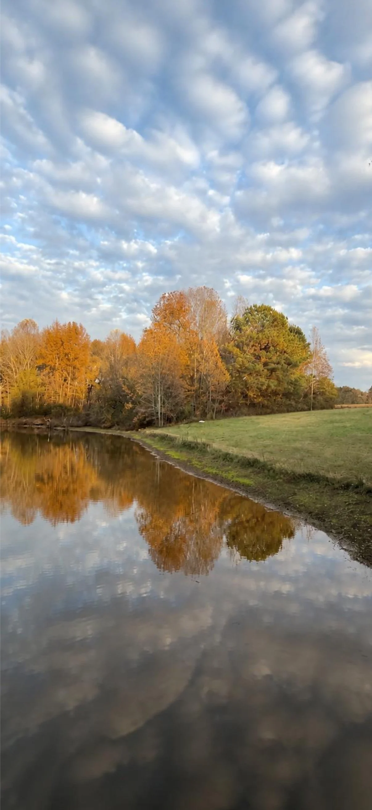 Scenic view of a river reflecting colorful autumn trees and a partly cloudy sky.