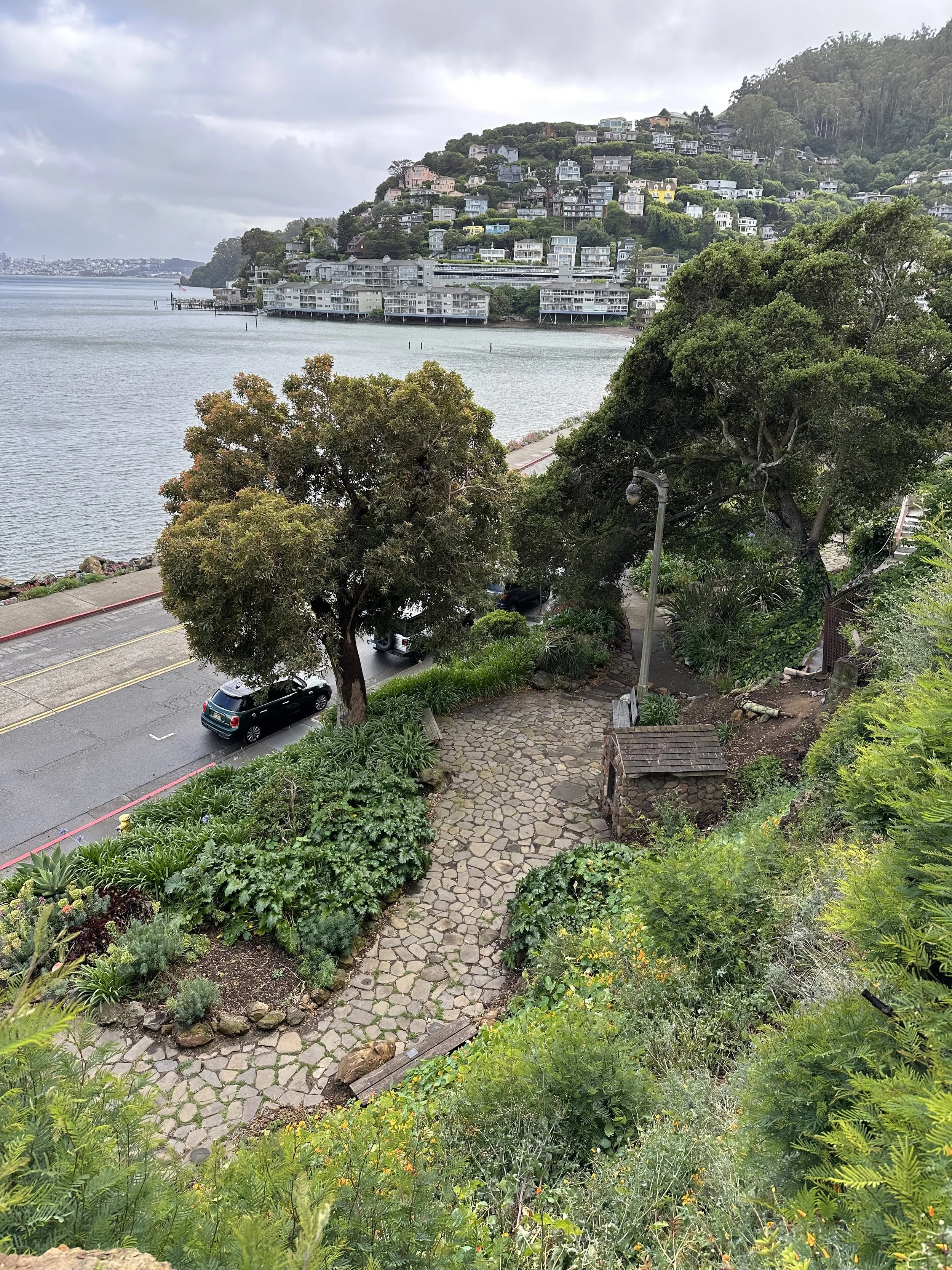 Tiffany Park Gardening Day