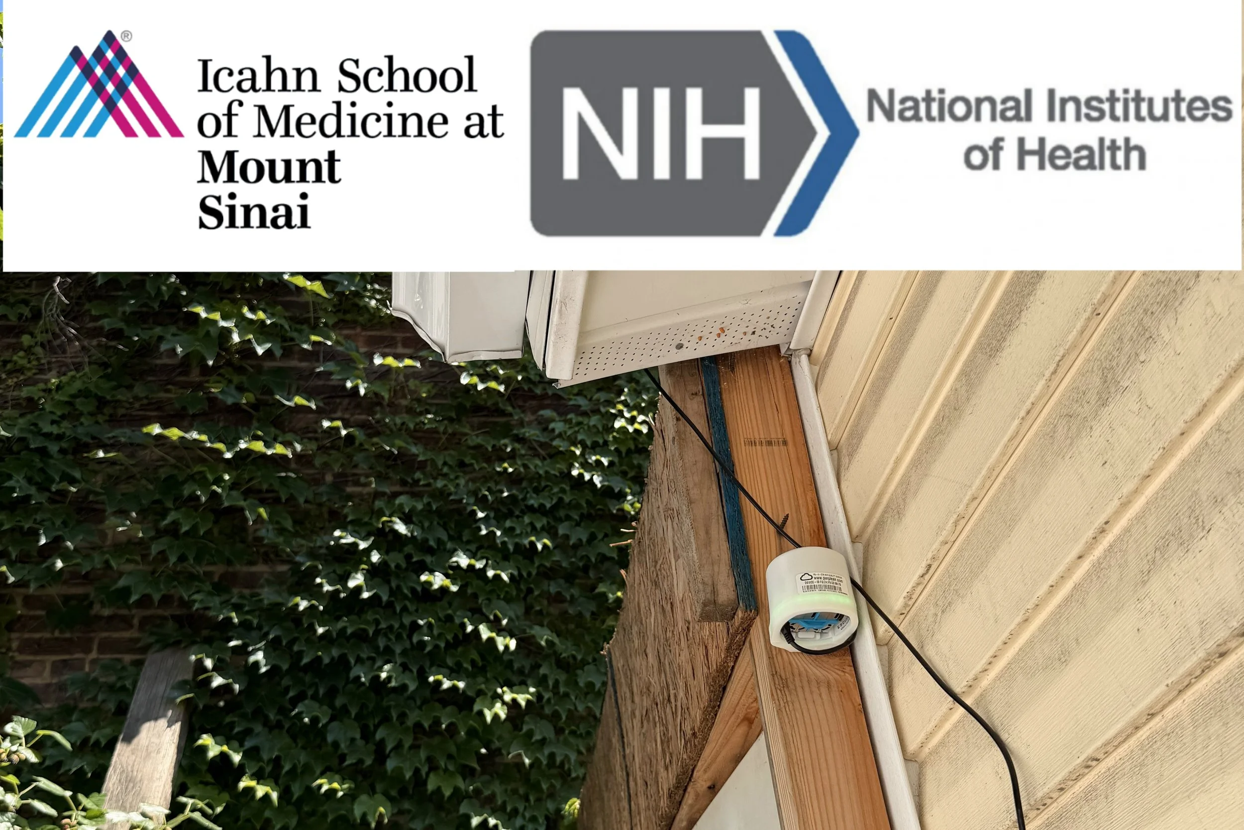 Mount Sinai - NIH P30